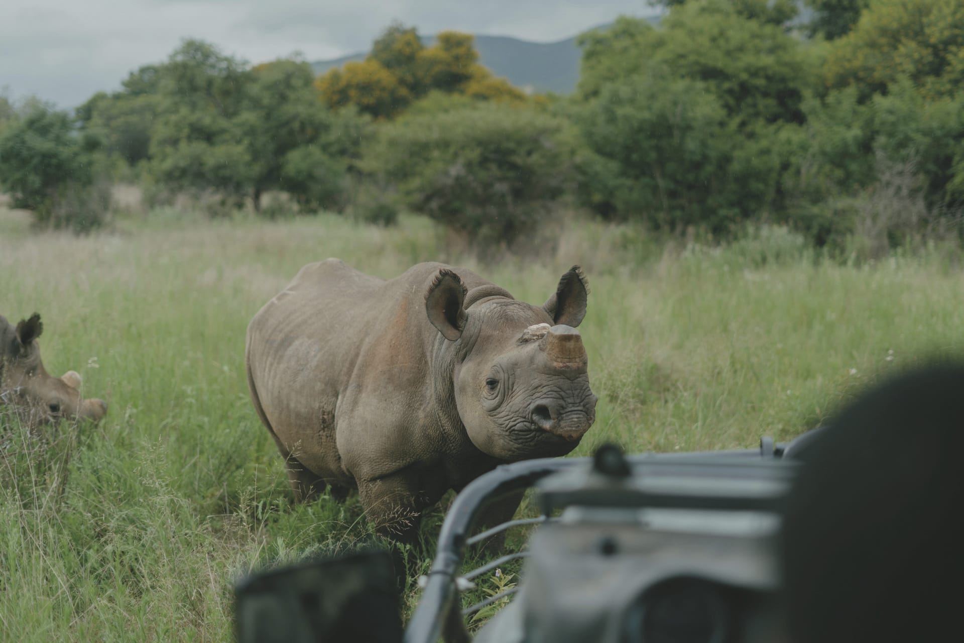 RSA_KZN_20240814_AD_5