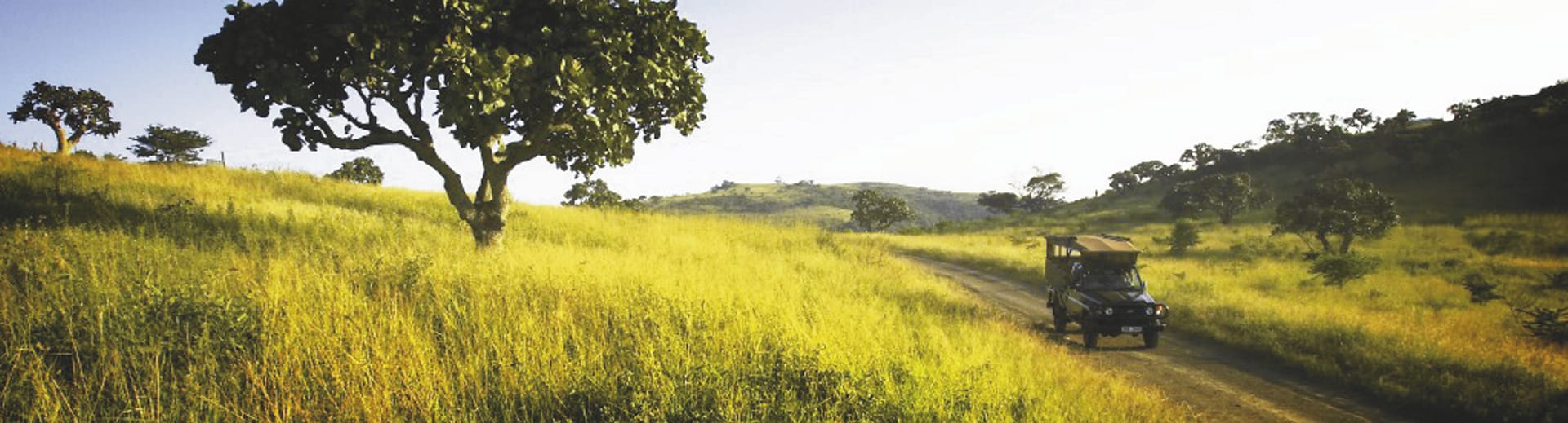 RSA_KZN_267_20080730_MM