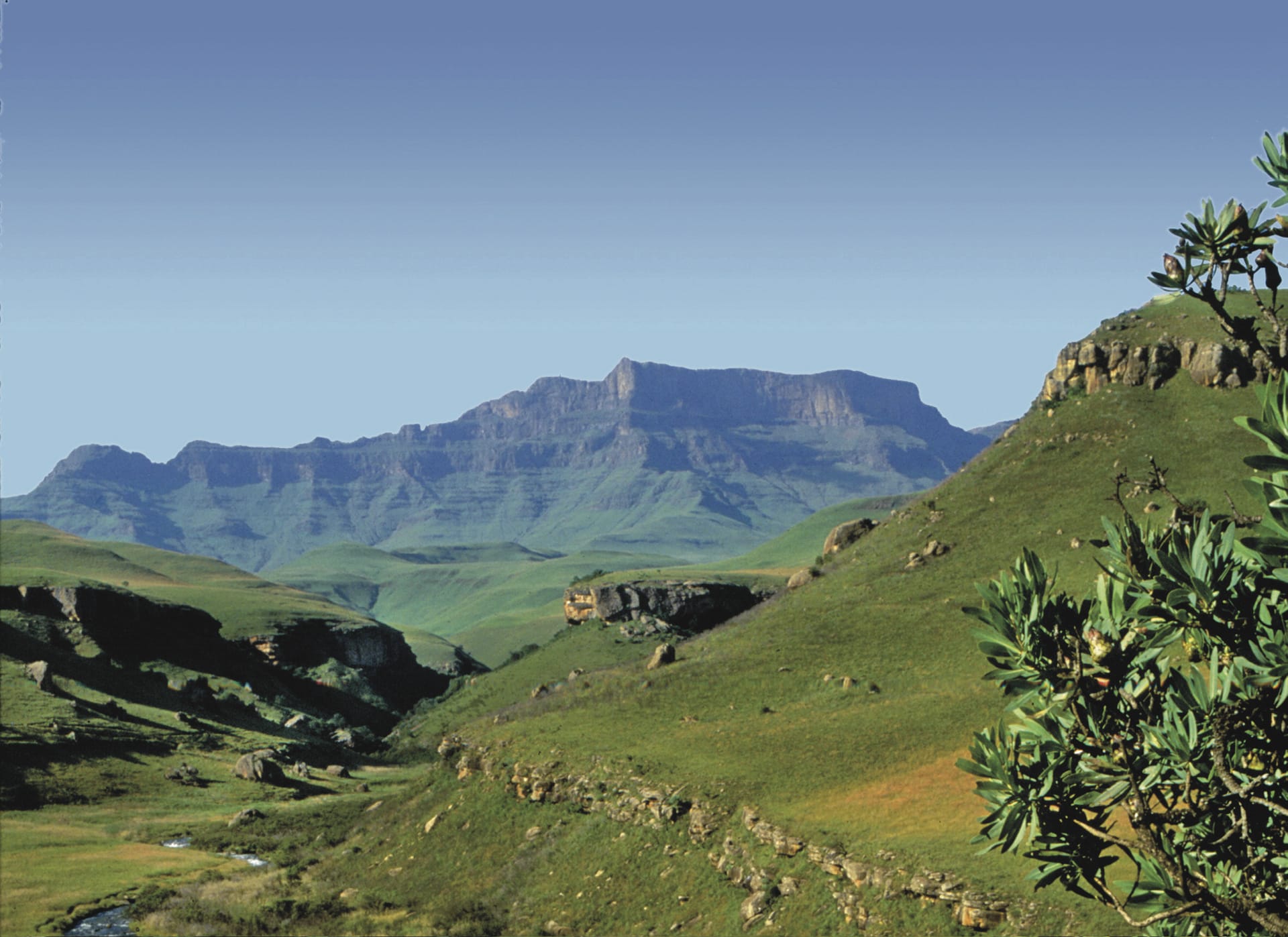 RSA_KZN_333_20100629_SS