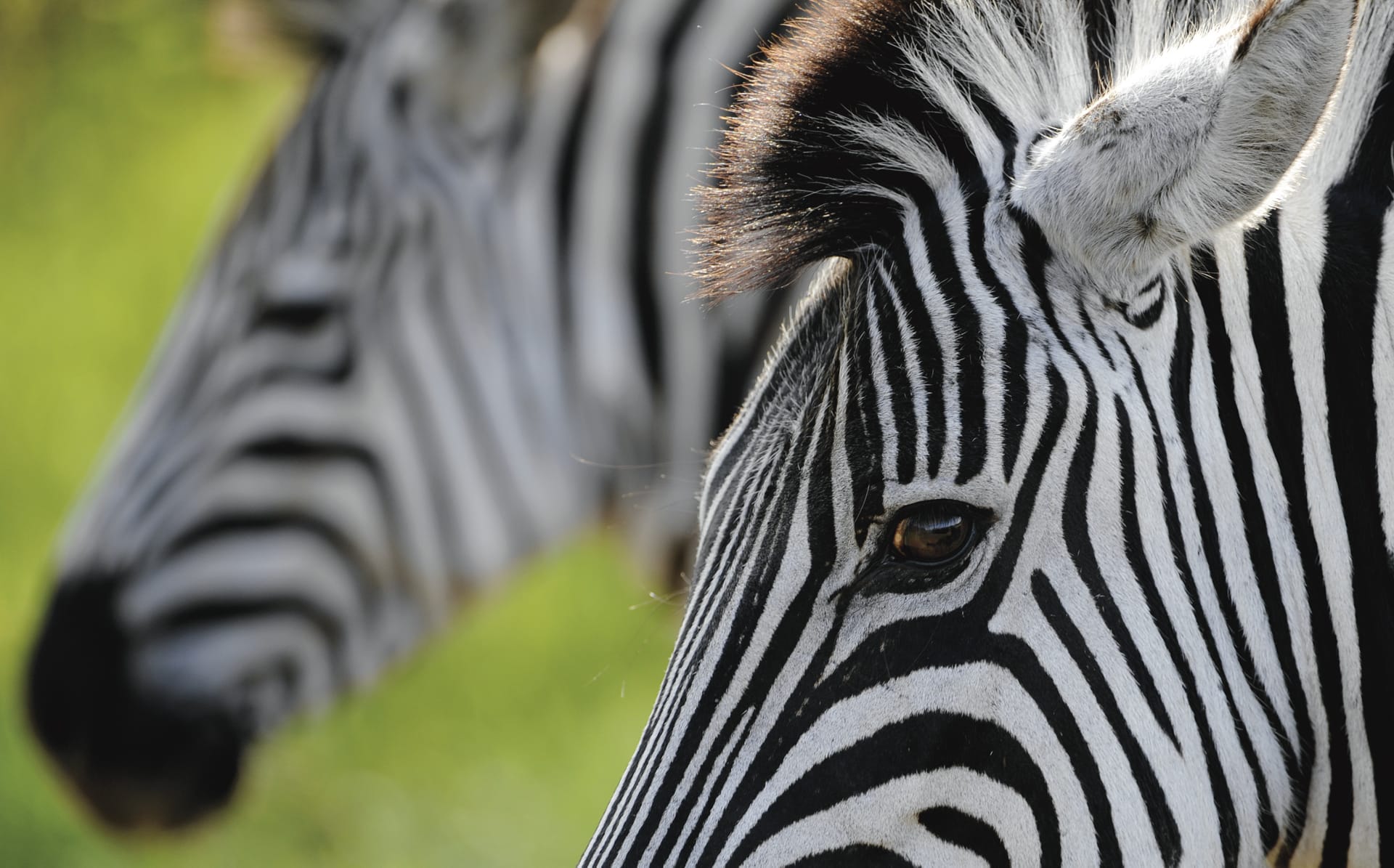 RSA_KZN_554_20110722_AD