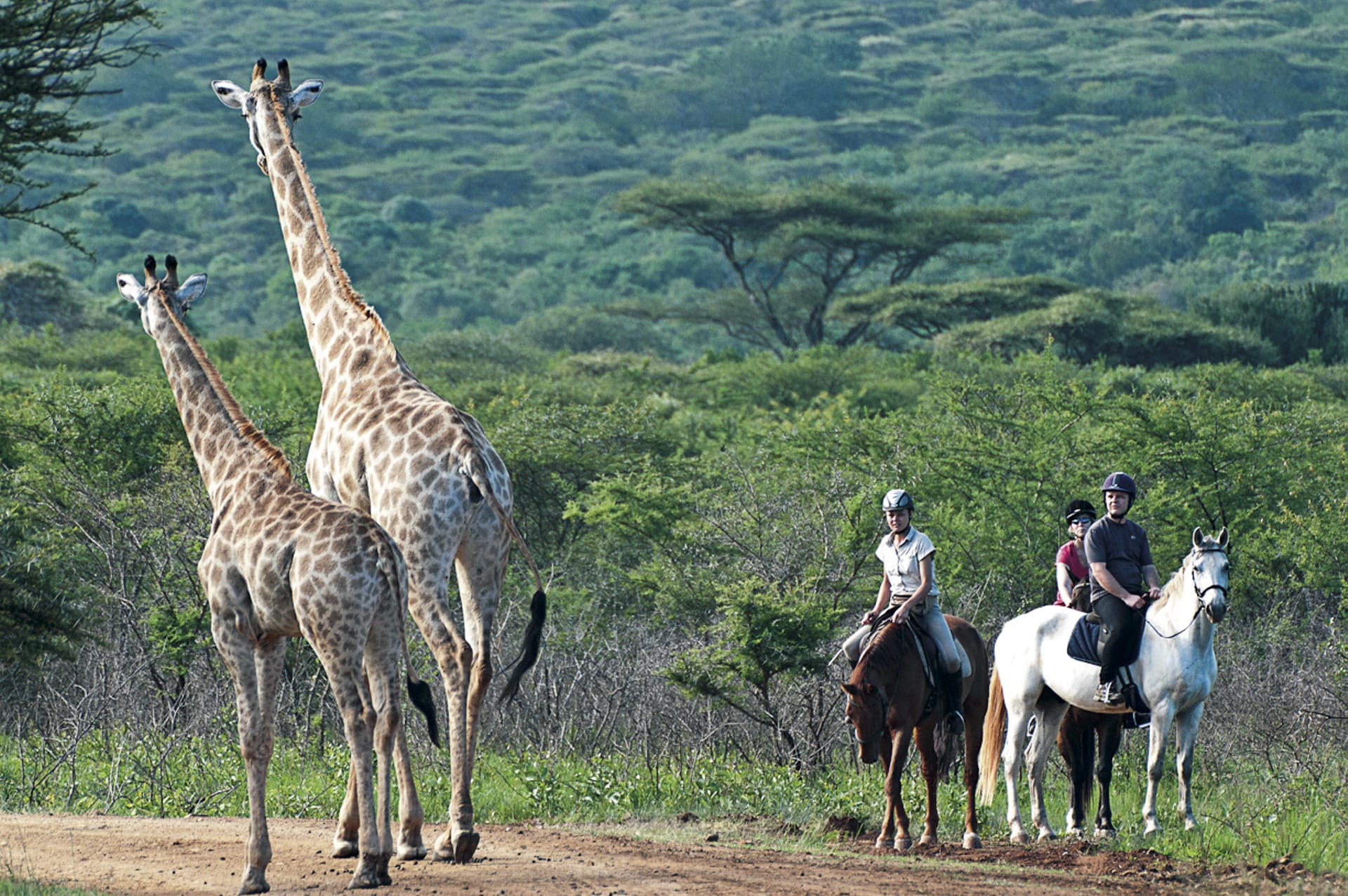 RSA_KZN_882_20120619_AD