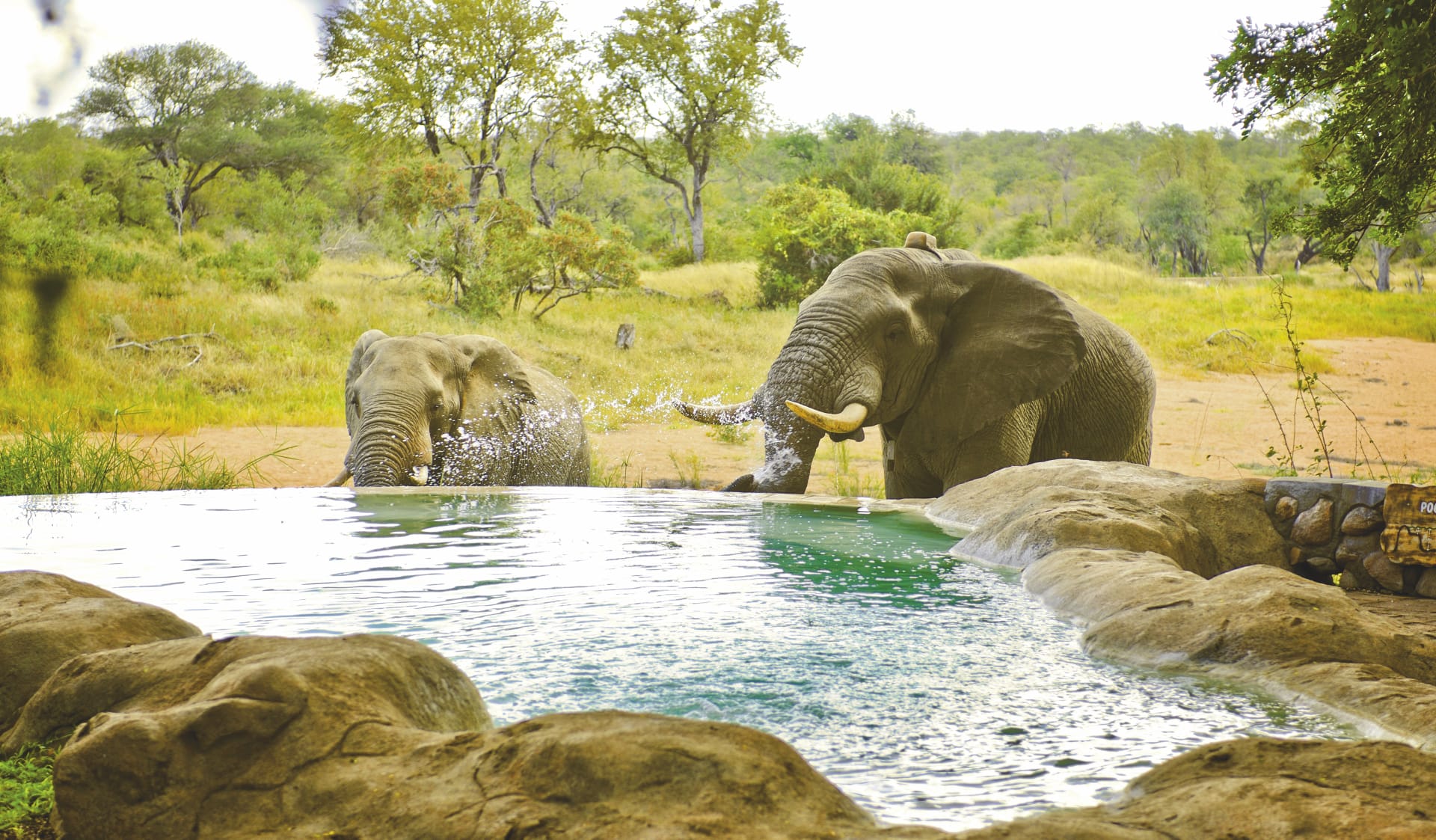 RSA_LIM_1271_20090522_SS