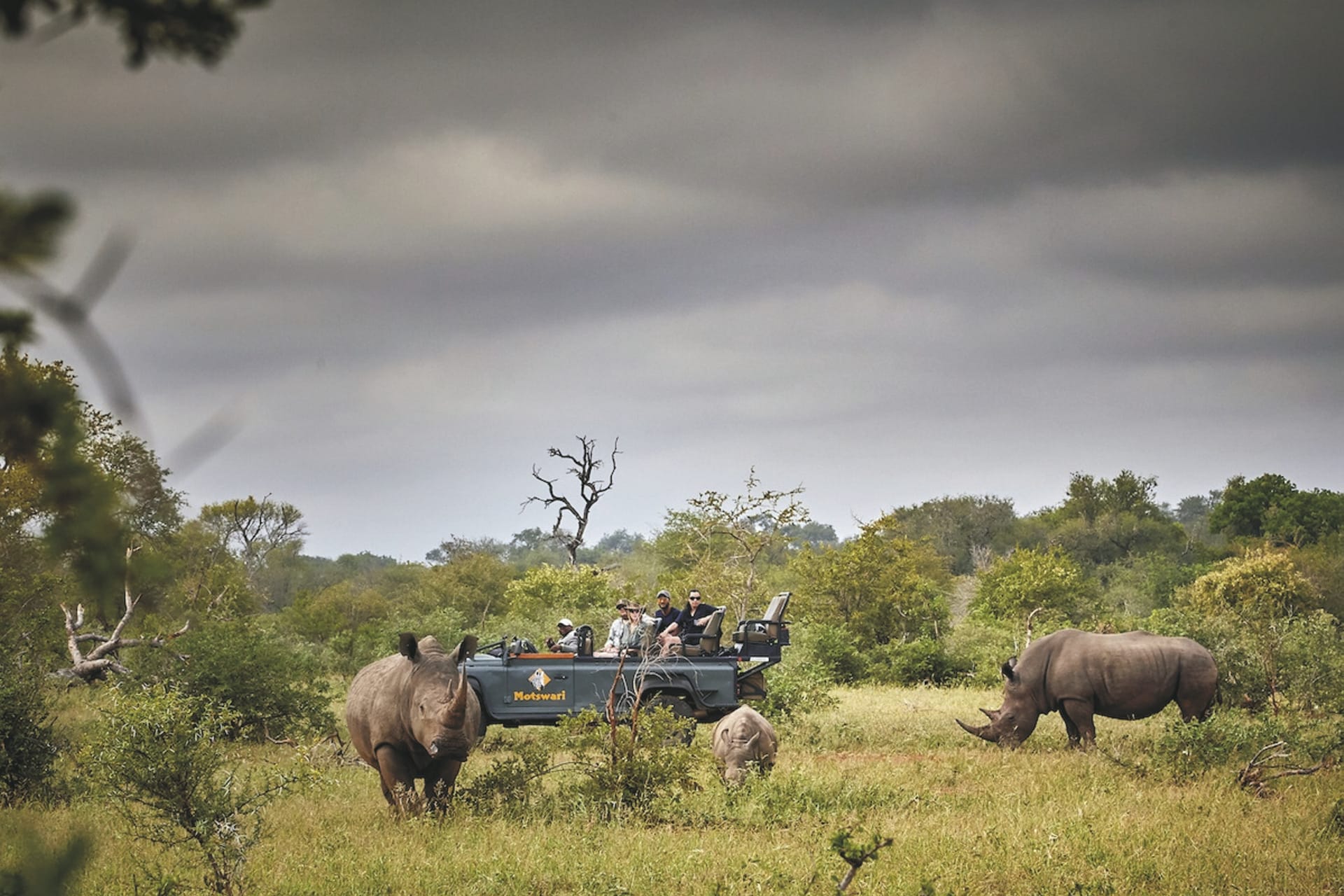 RSA_LIM_20180822_AD_7