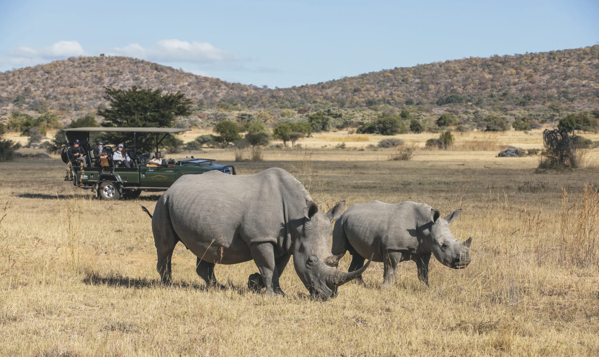 RSA_LIM_20190806_AD_1