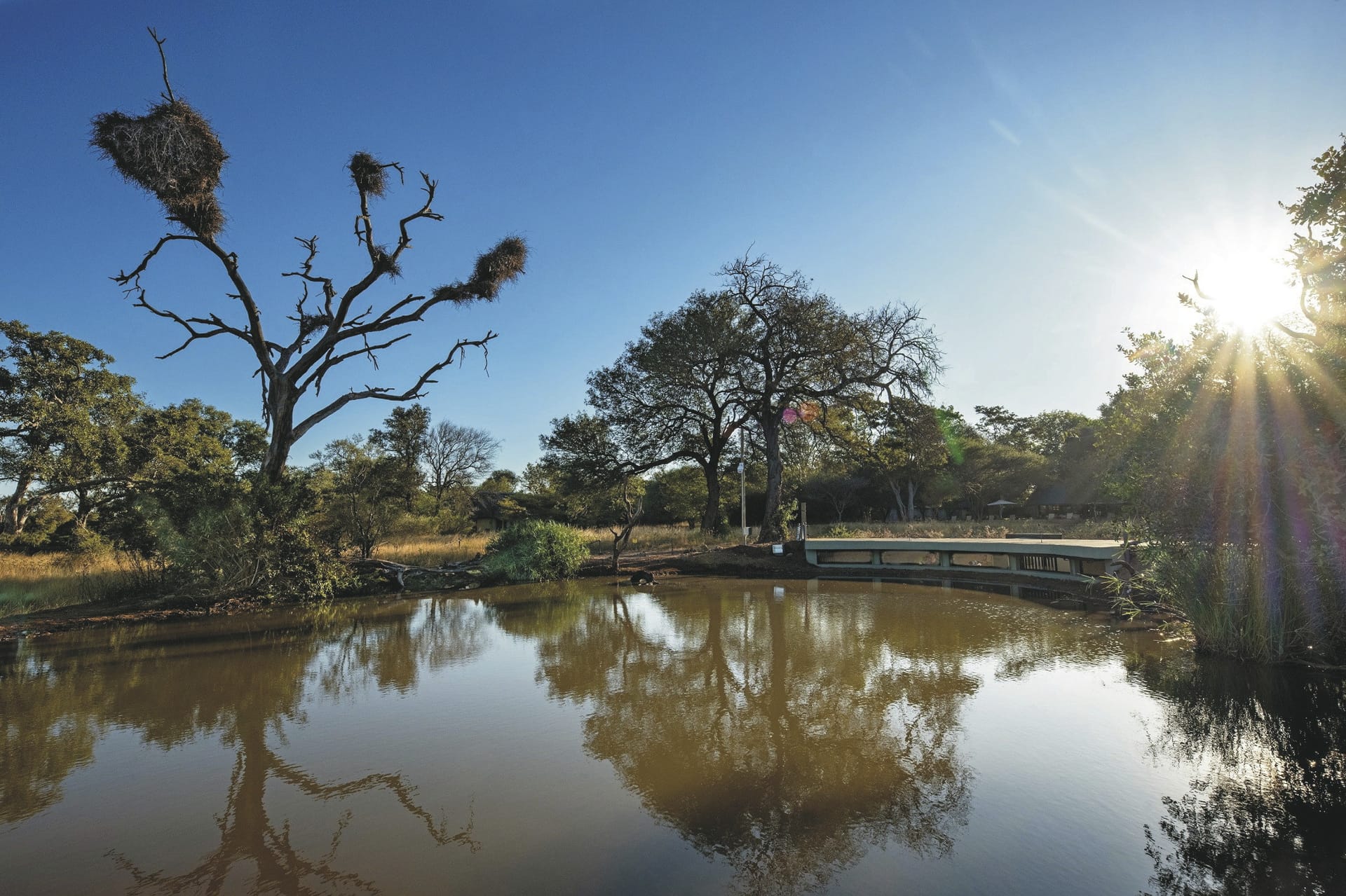 RSA_LIM_20231120_AD_5