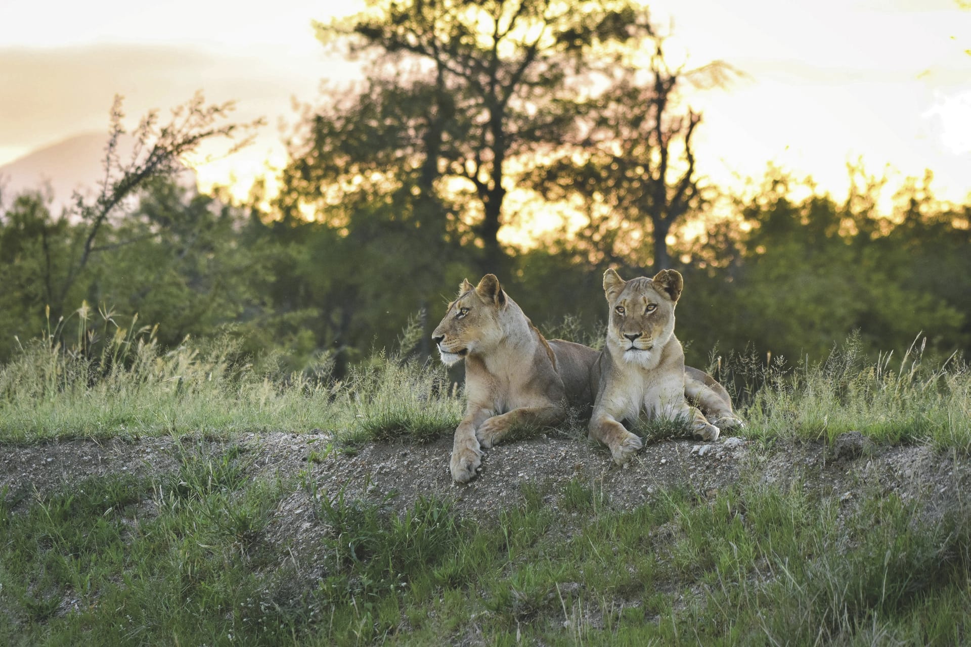 RSA_LIM_20231201_AD_6