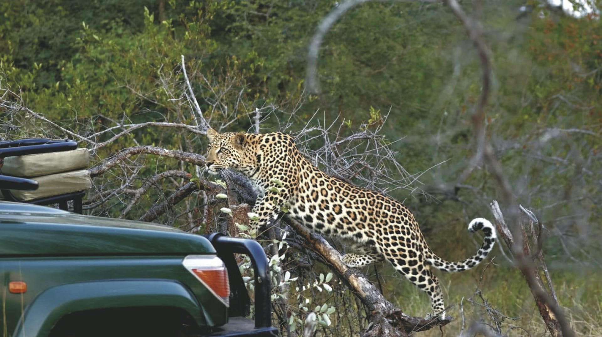 RSA_LIM_20241030_AD_21