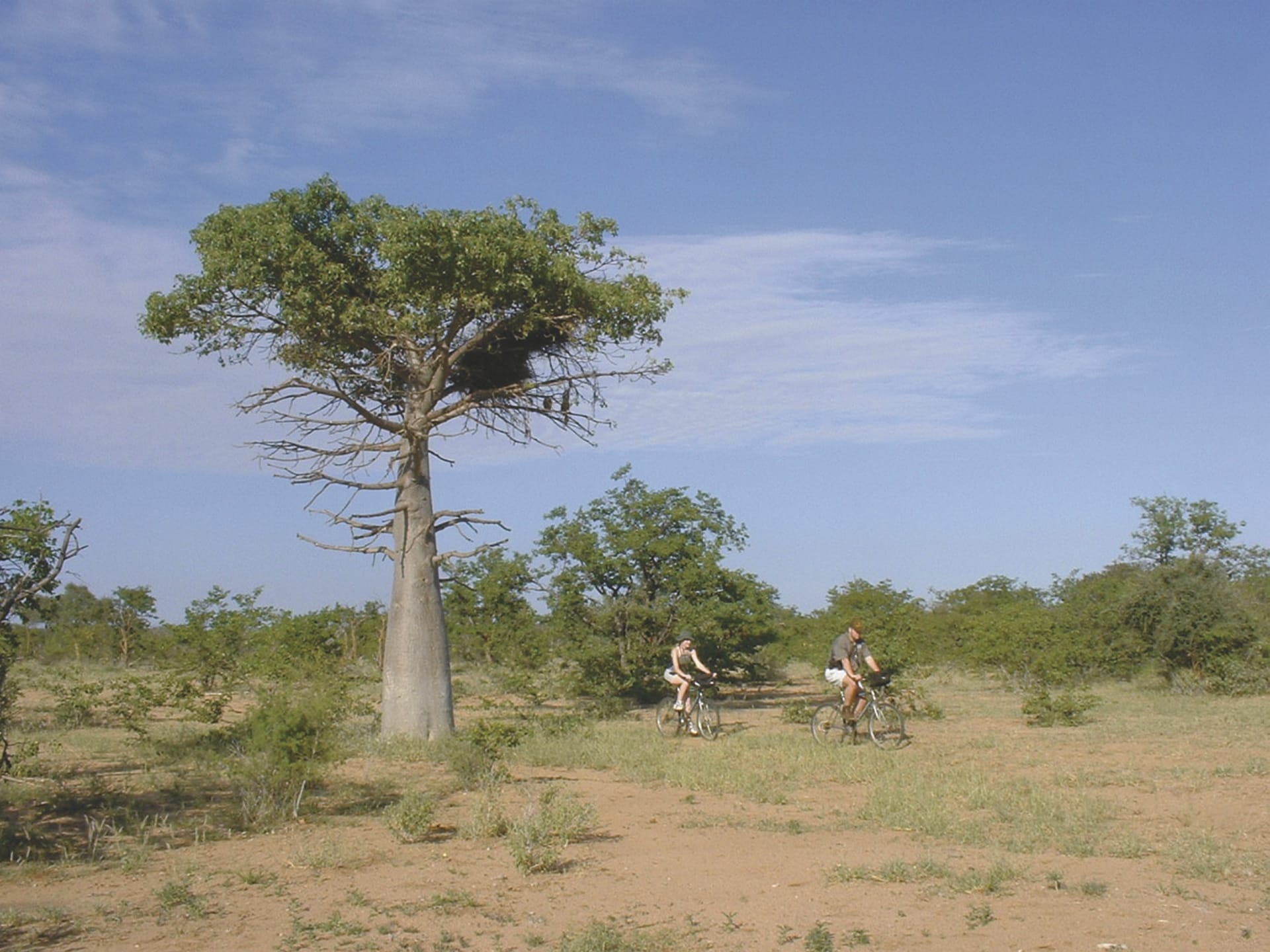 RSA_LIM_881_20080724_SS