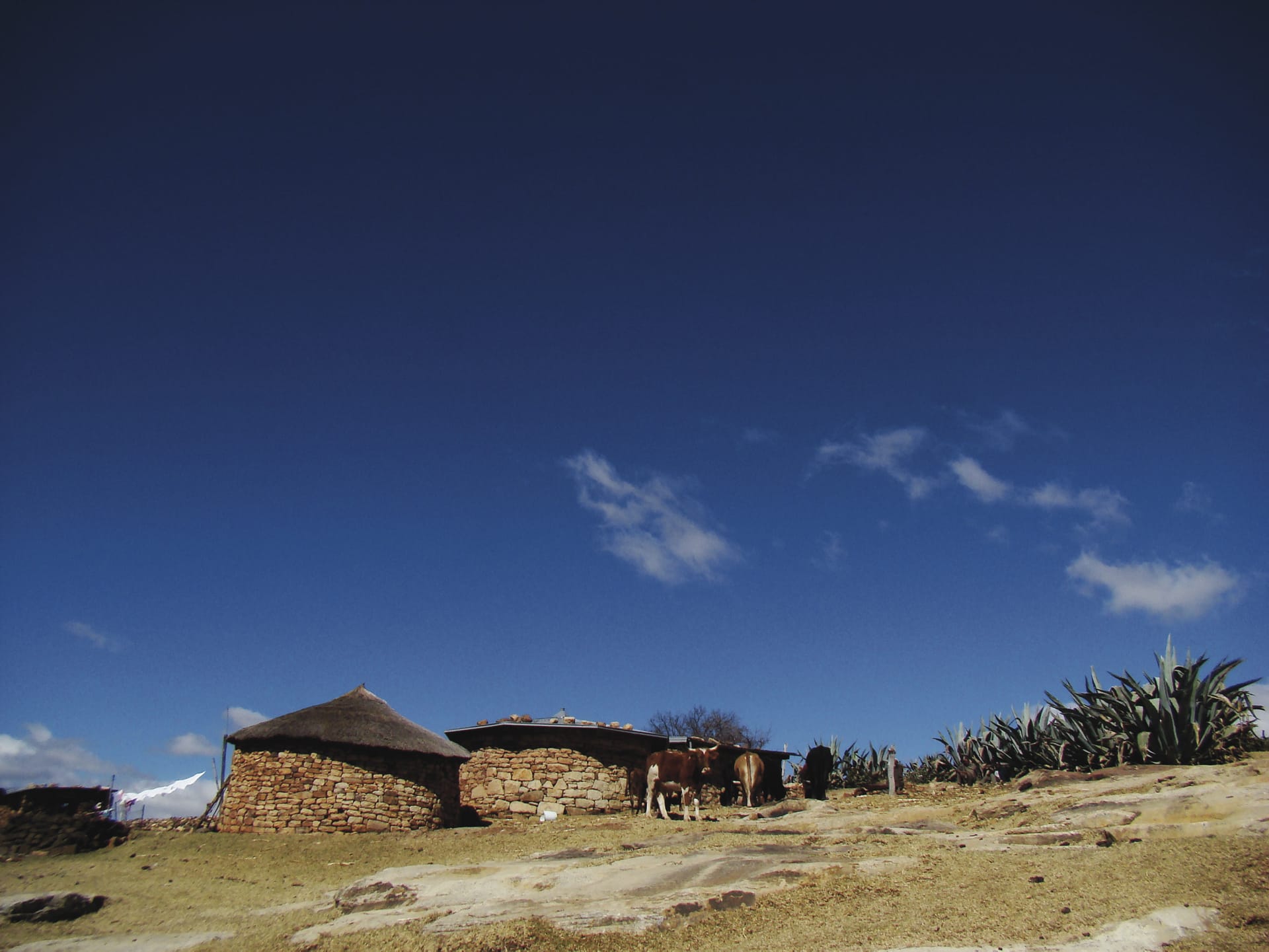 RSA_LOS_012_20150612_AD