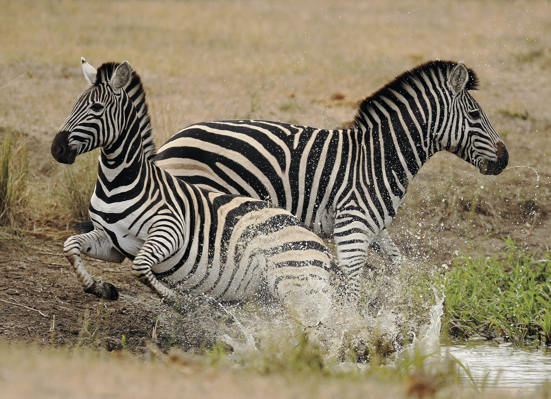 RSA_MPL_001_20150719_AD