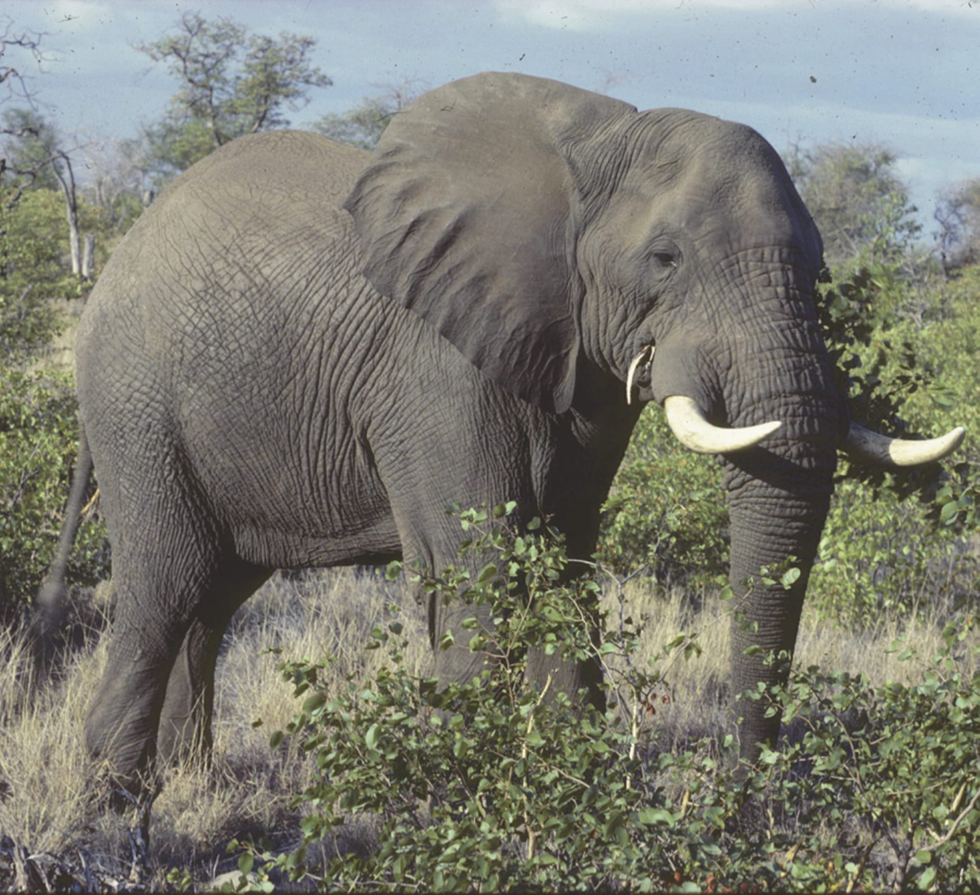 RSA_MPL_079_20070904_MM