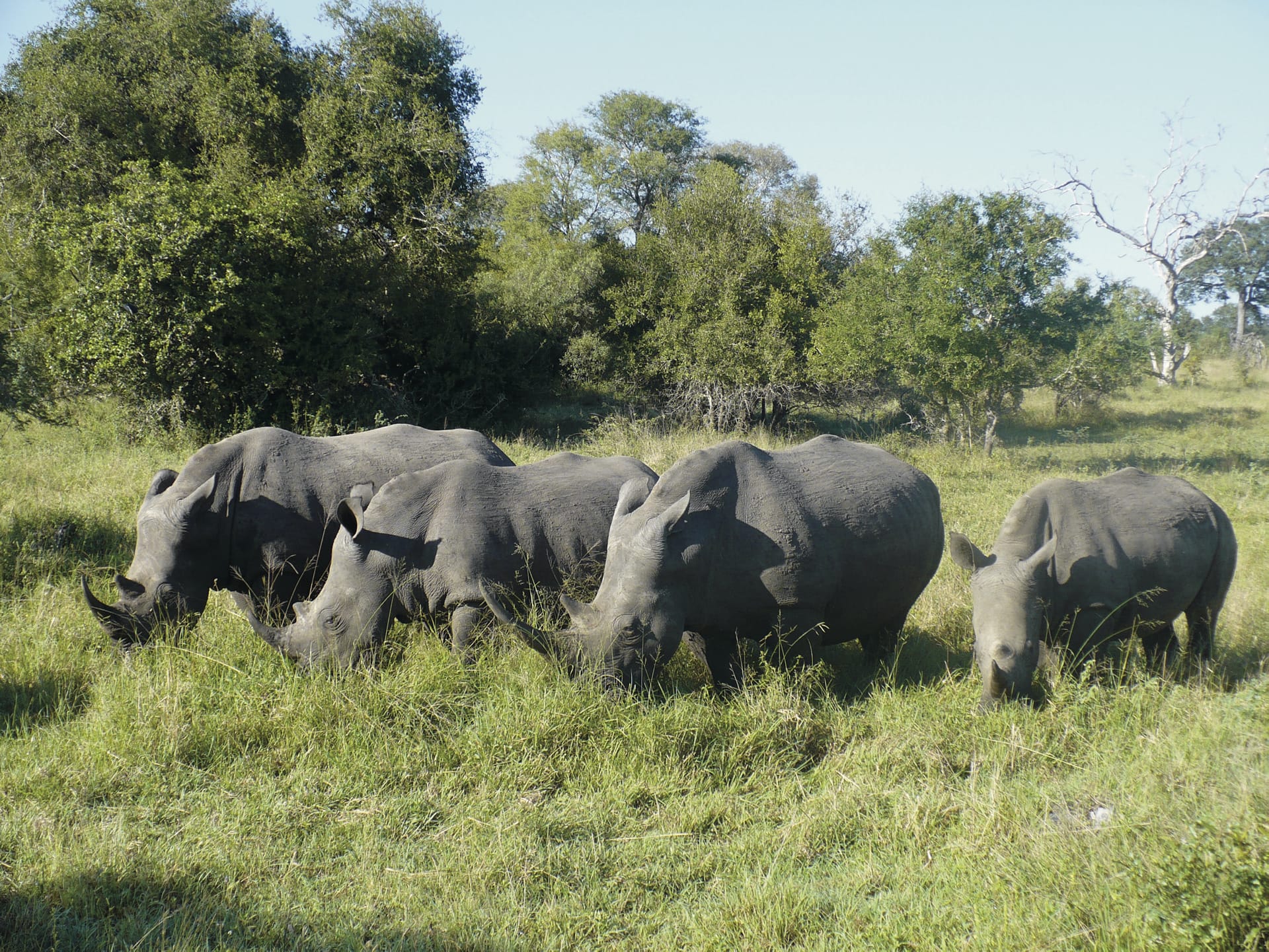 RSA_MPL_086_20110705_ss