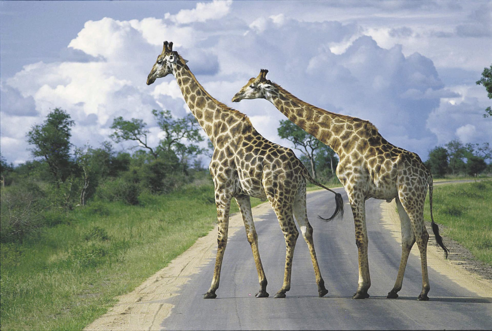 RSA_MPL_192_20070910_MM