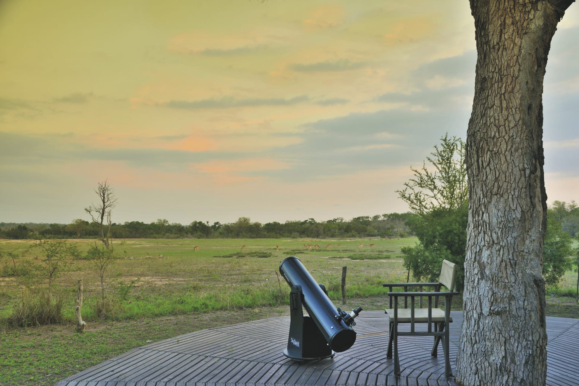 RSA_MPL_20220908_AD_20