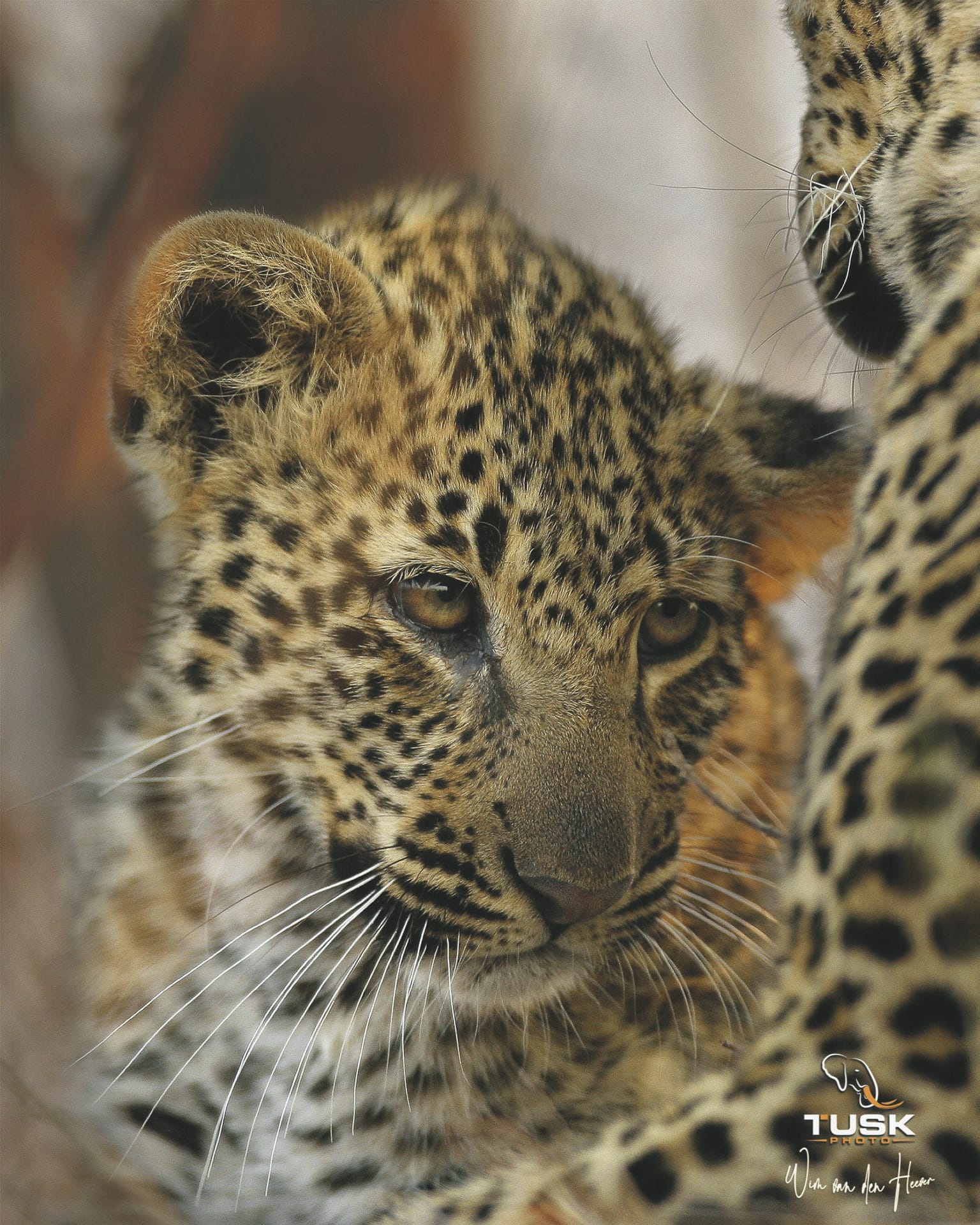 RSA_MPL_20231123_AD_12