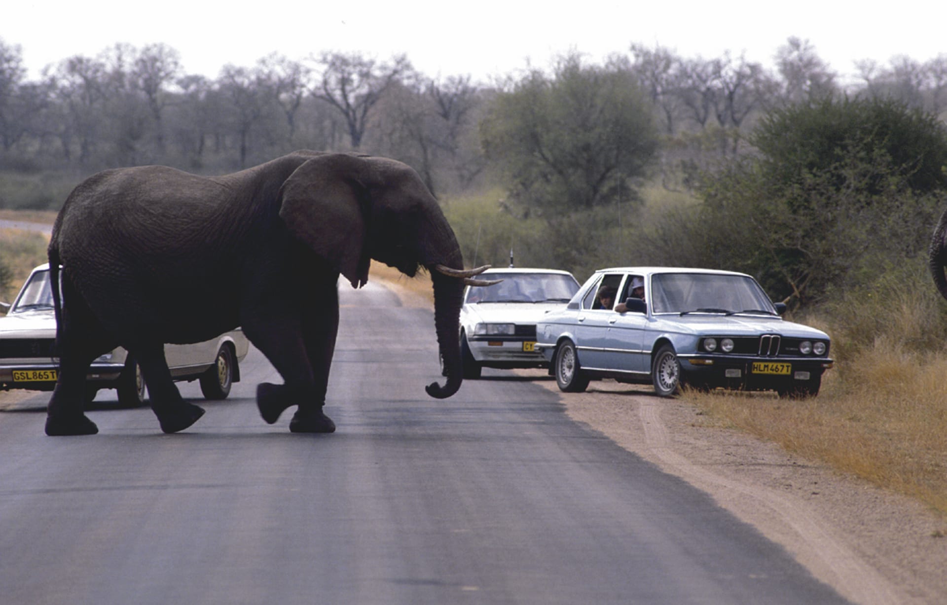 RSA_MPL_261_20071016_MM