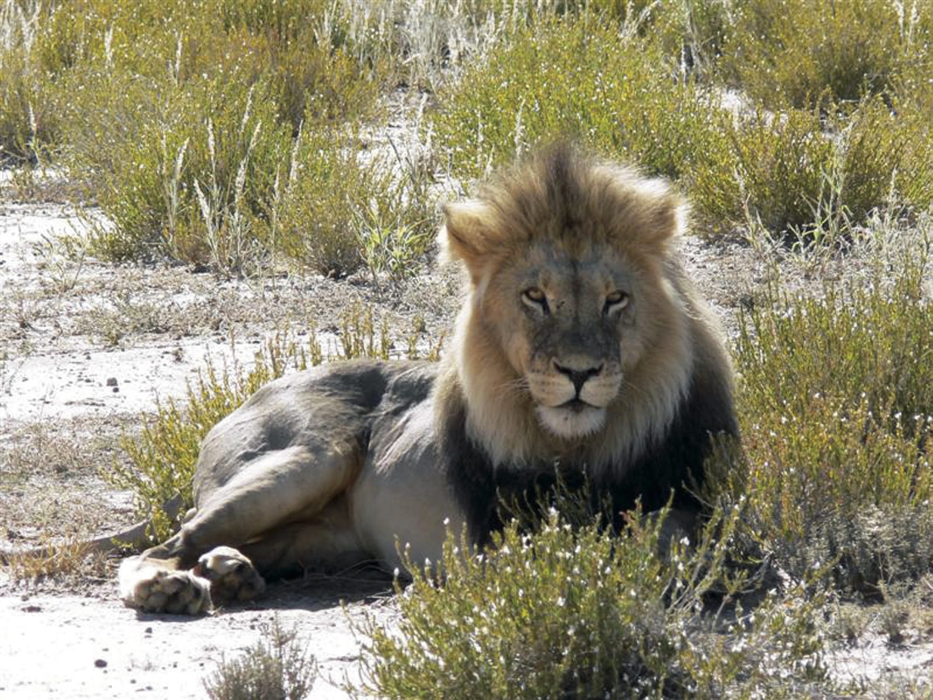 RSA_NOC_1474_20130709_AD