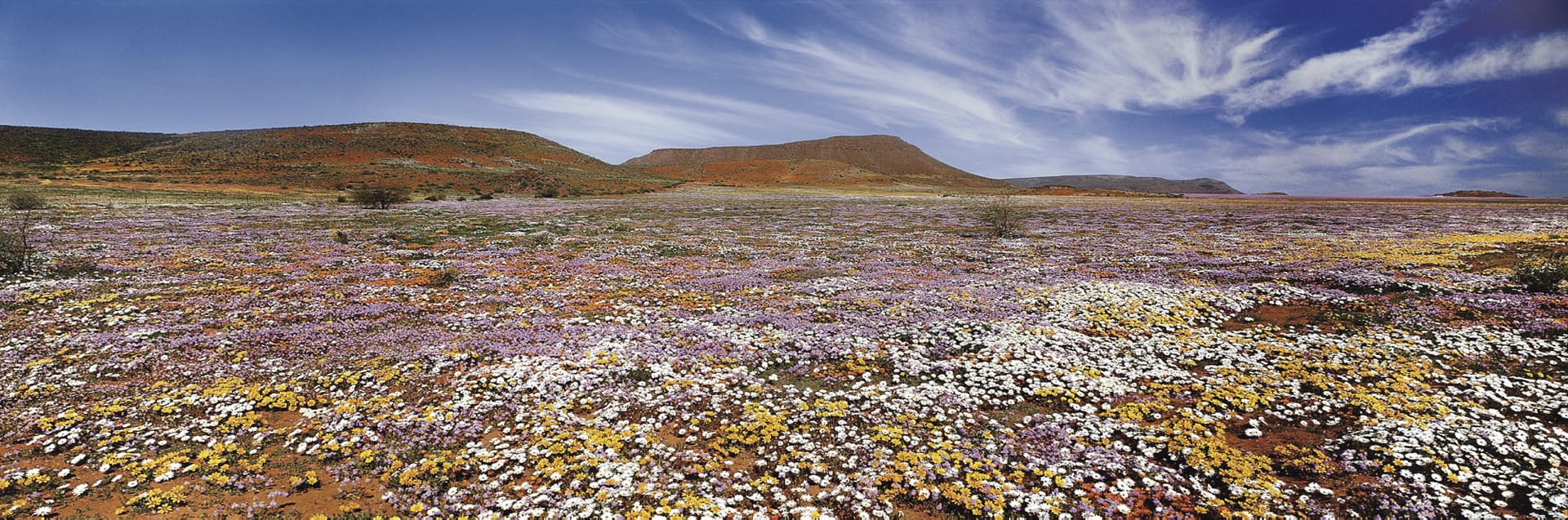 RSA_NOC_548_20110721_AD