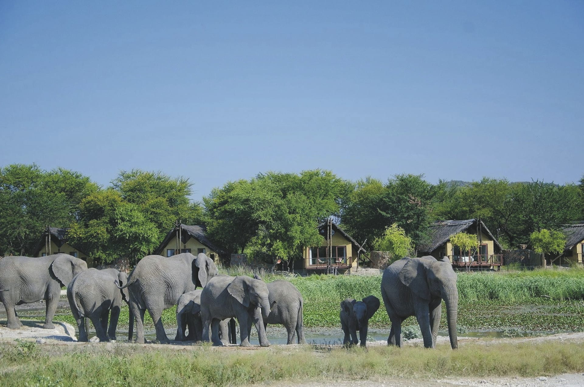 RSA_NOW_20220706_AD_11