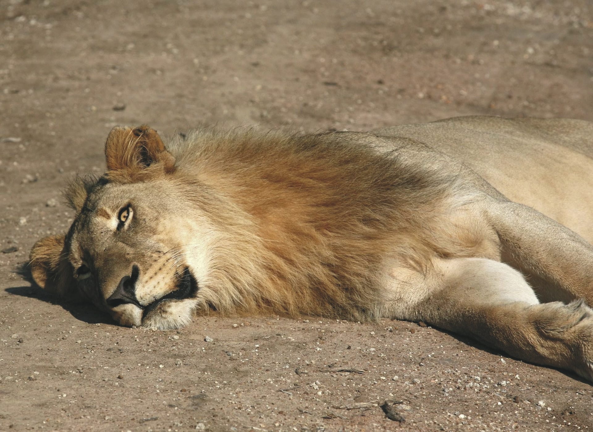 RSA_NOW_20220706_AD_18