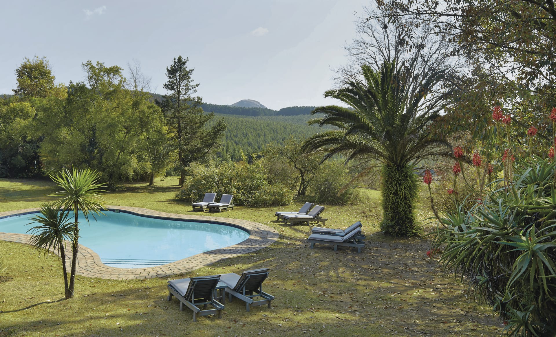 RSA_SWA_013_20150716_ss