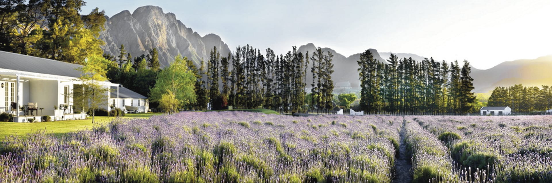 RSA_WEC_002_20160711_AD