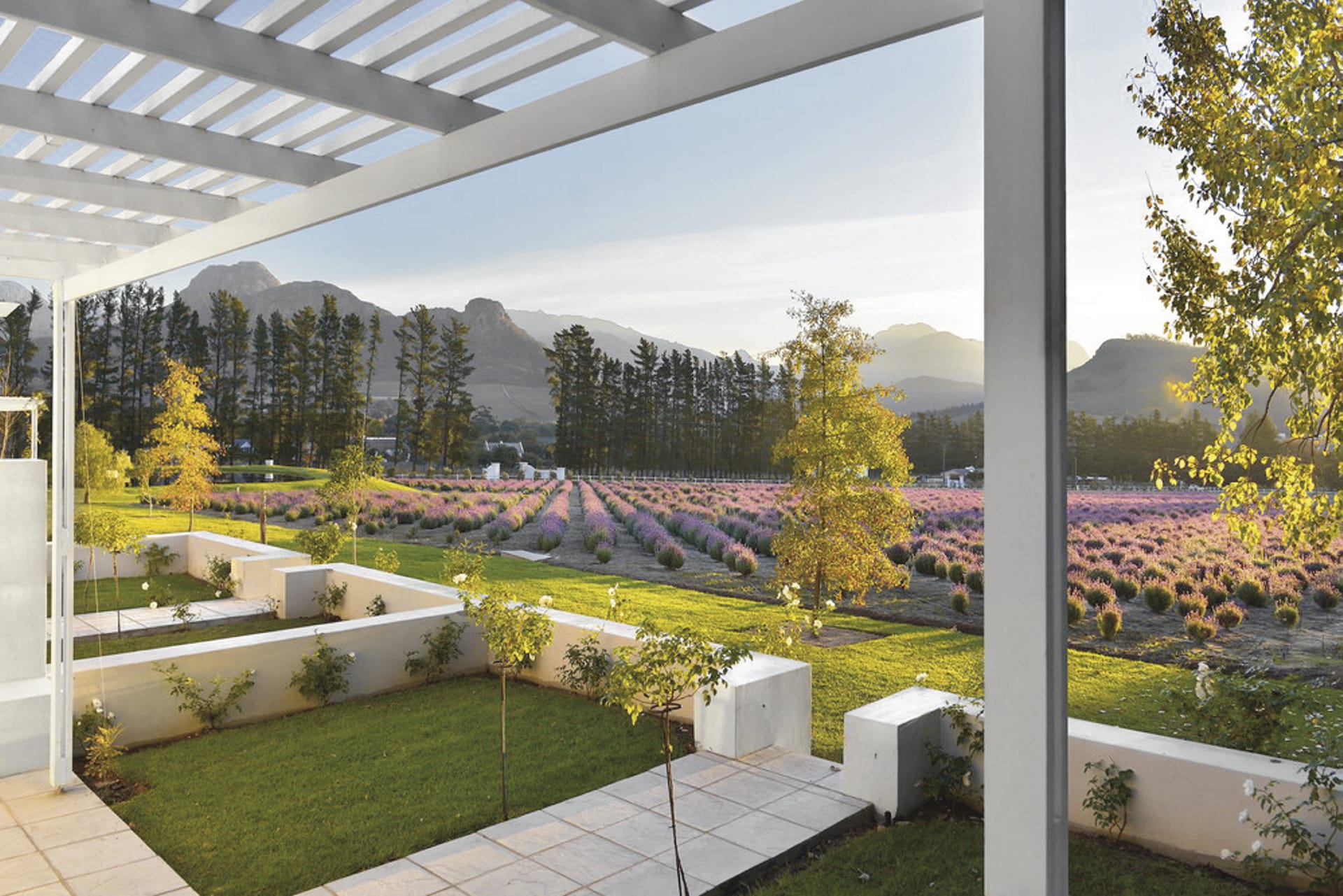 RSA_WEC_006_20150812_AD