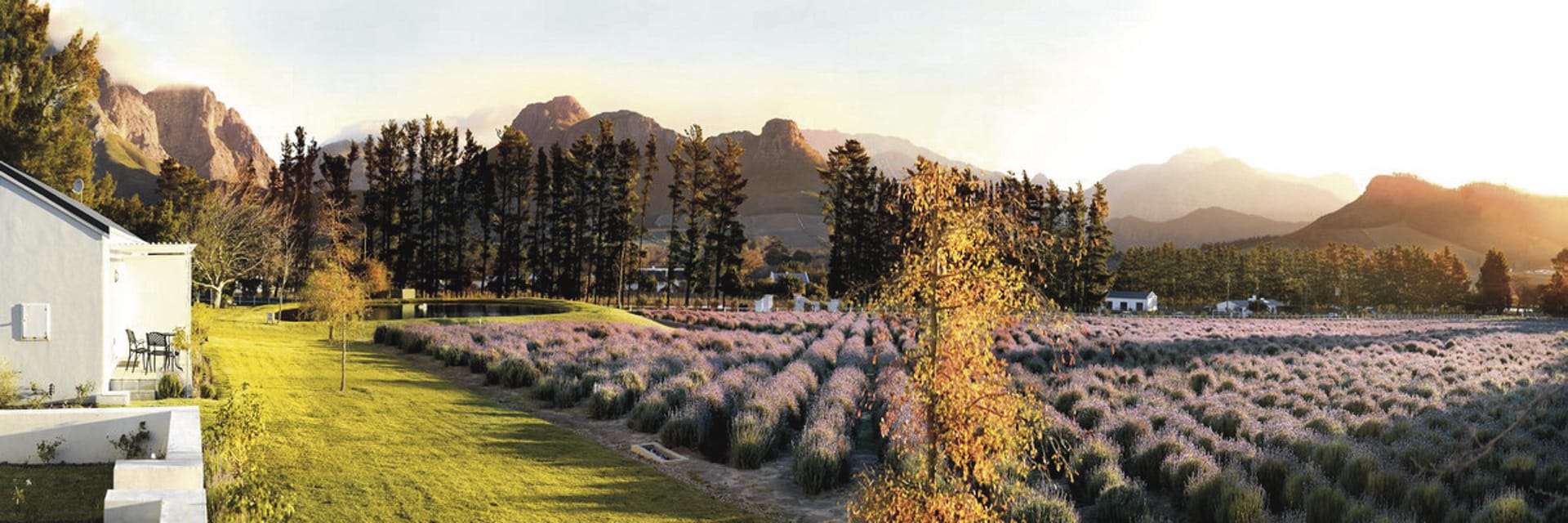 RSA_WEC_015_20150812_AD