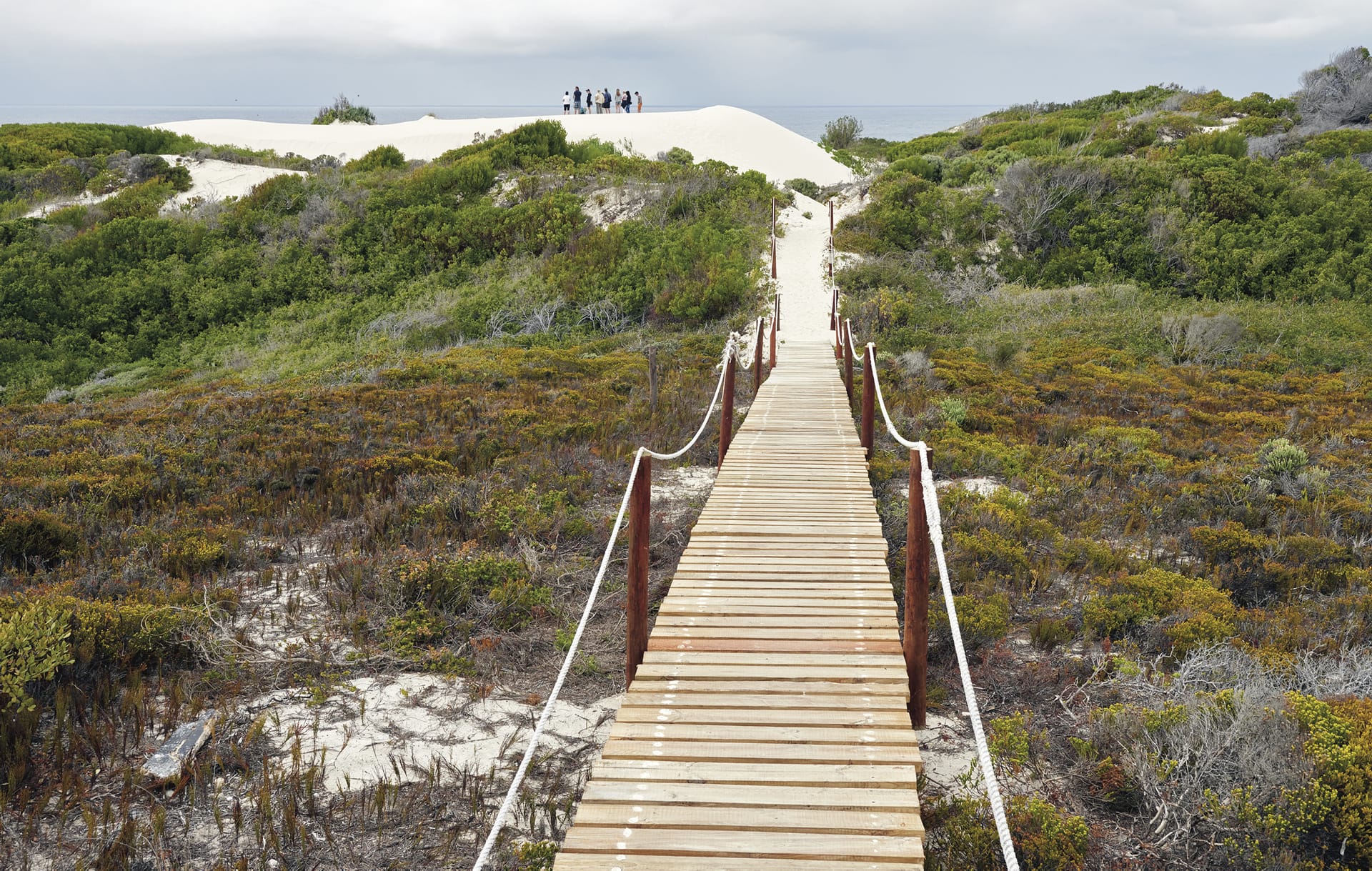 RSA_WEC_022_20150729_AD