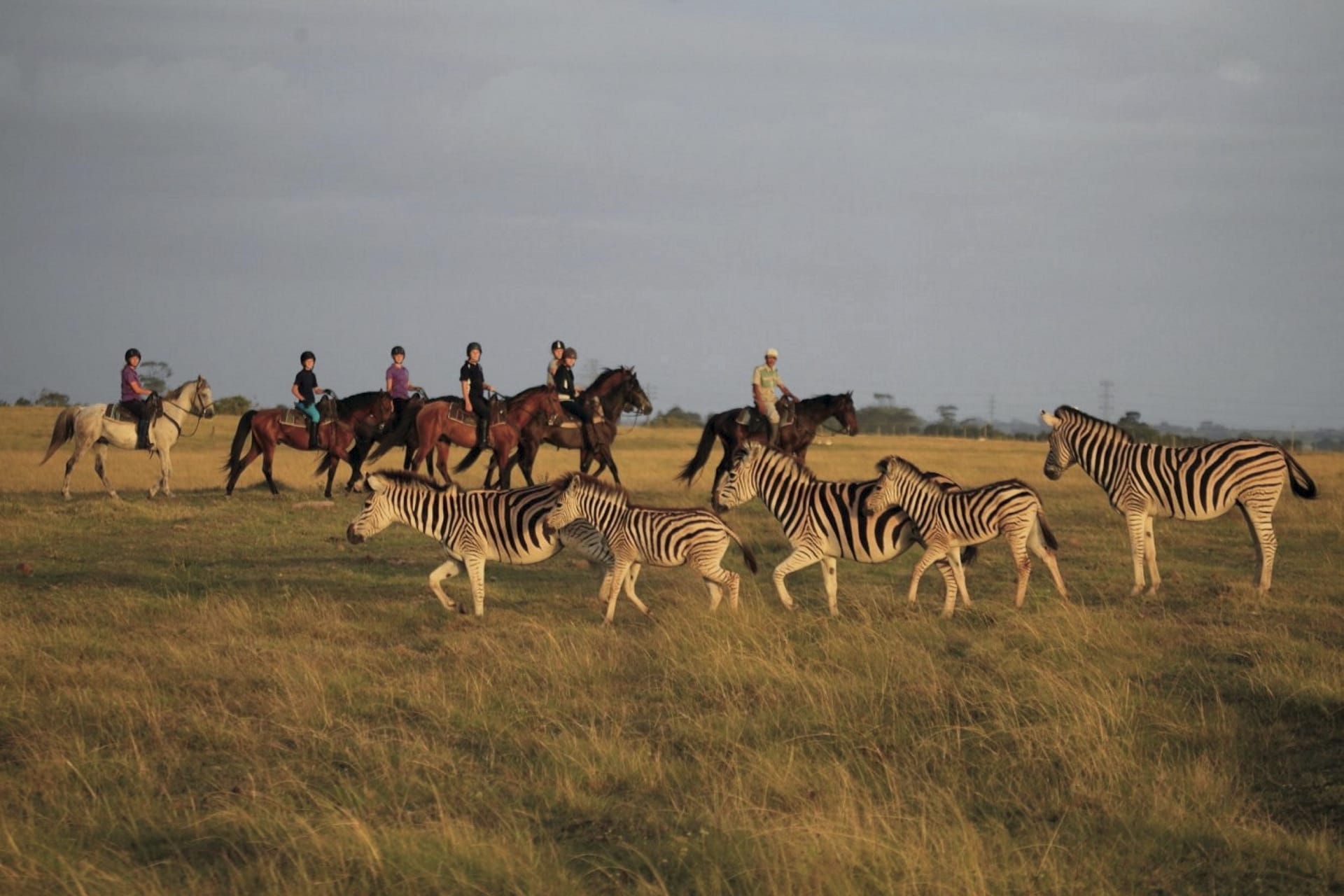 RSA_WEC_044_20150731_AD