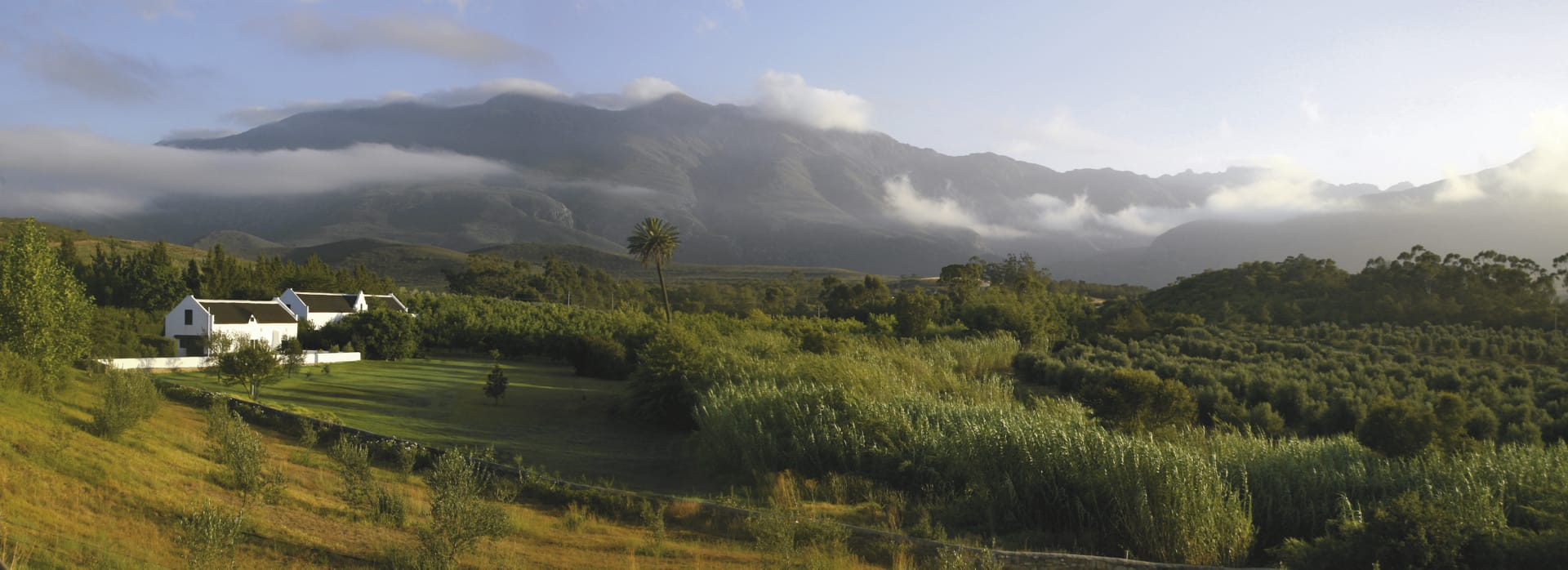 RSA_WEC_051_20100601_SS