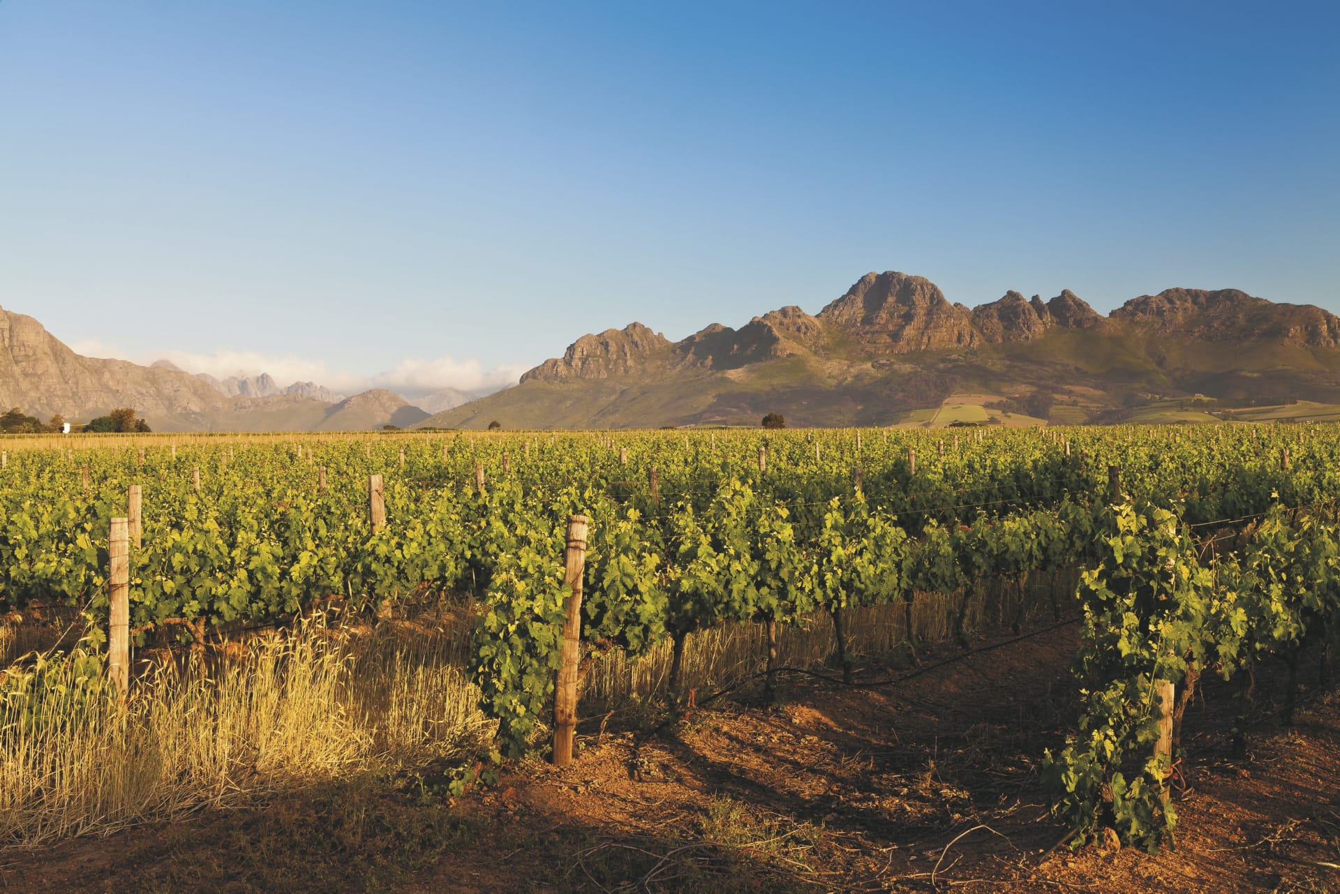 RSA_WEC_20190627_AD_1