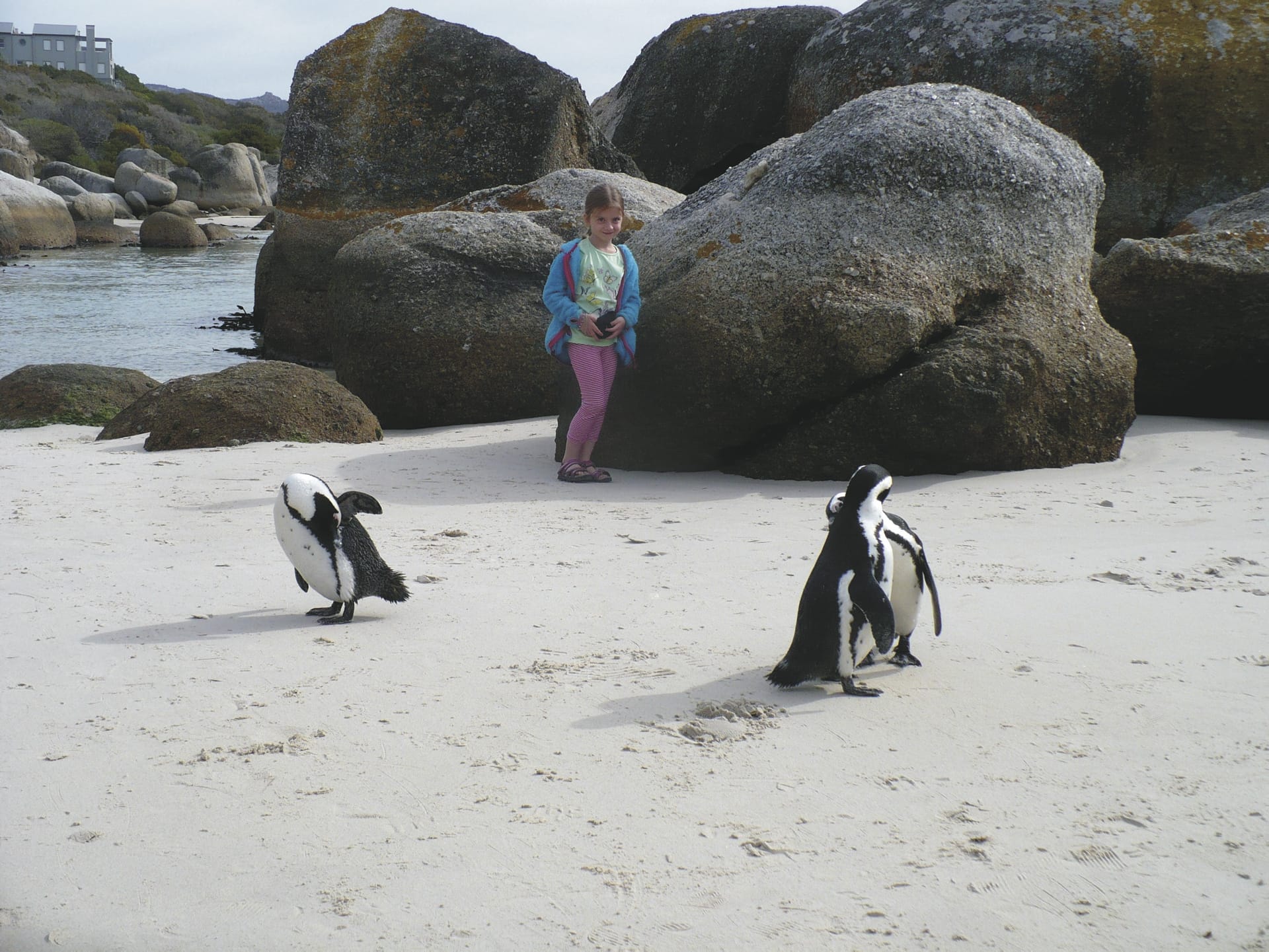 RSA_WEC_20190711_AD_2_4