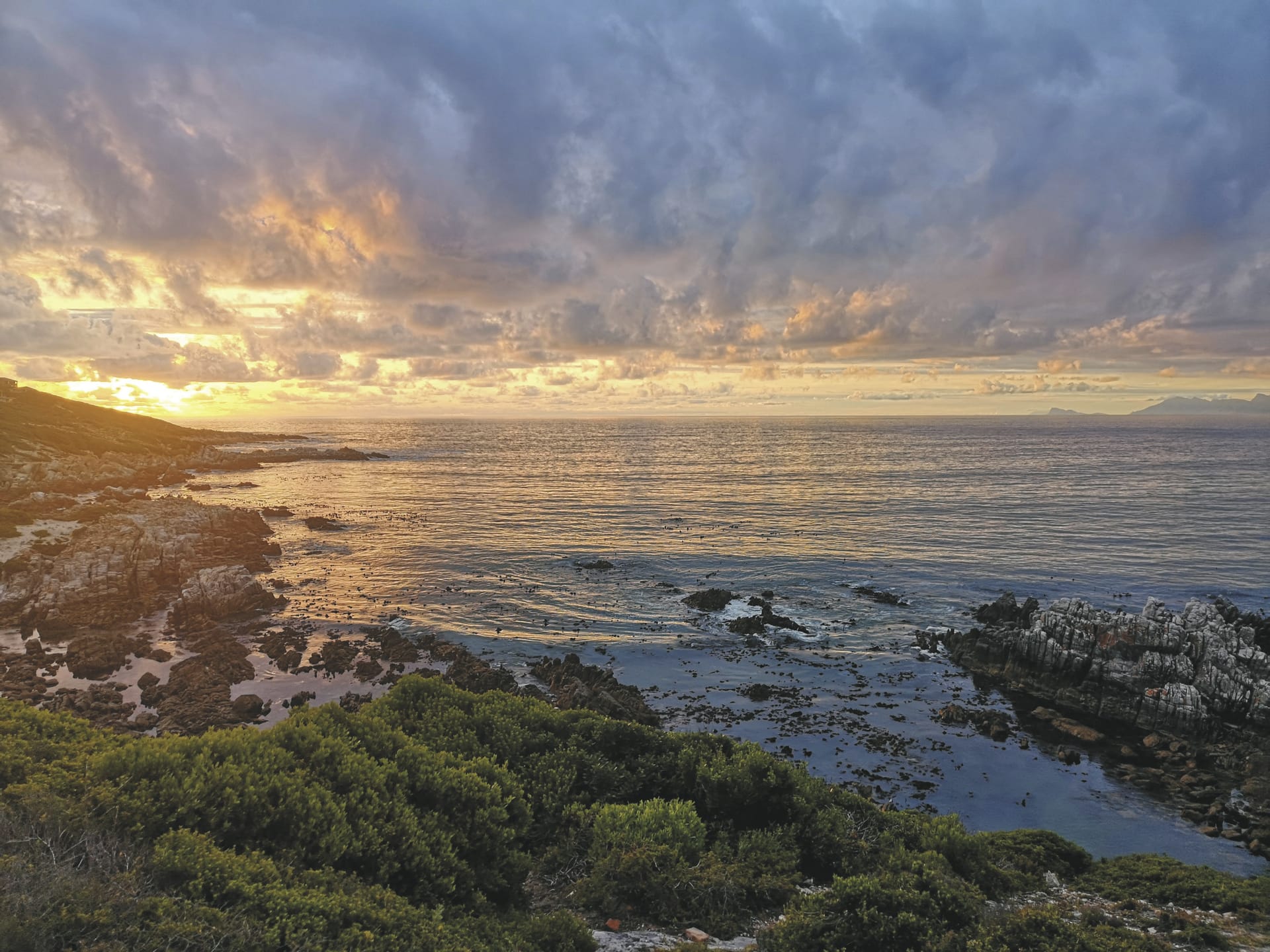 RSA_WEC_20210128_AD_2