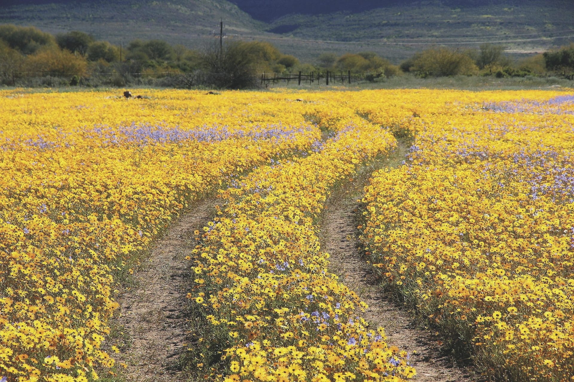 RSA_WEC_20220405_AD_37