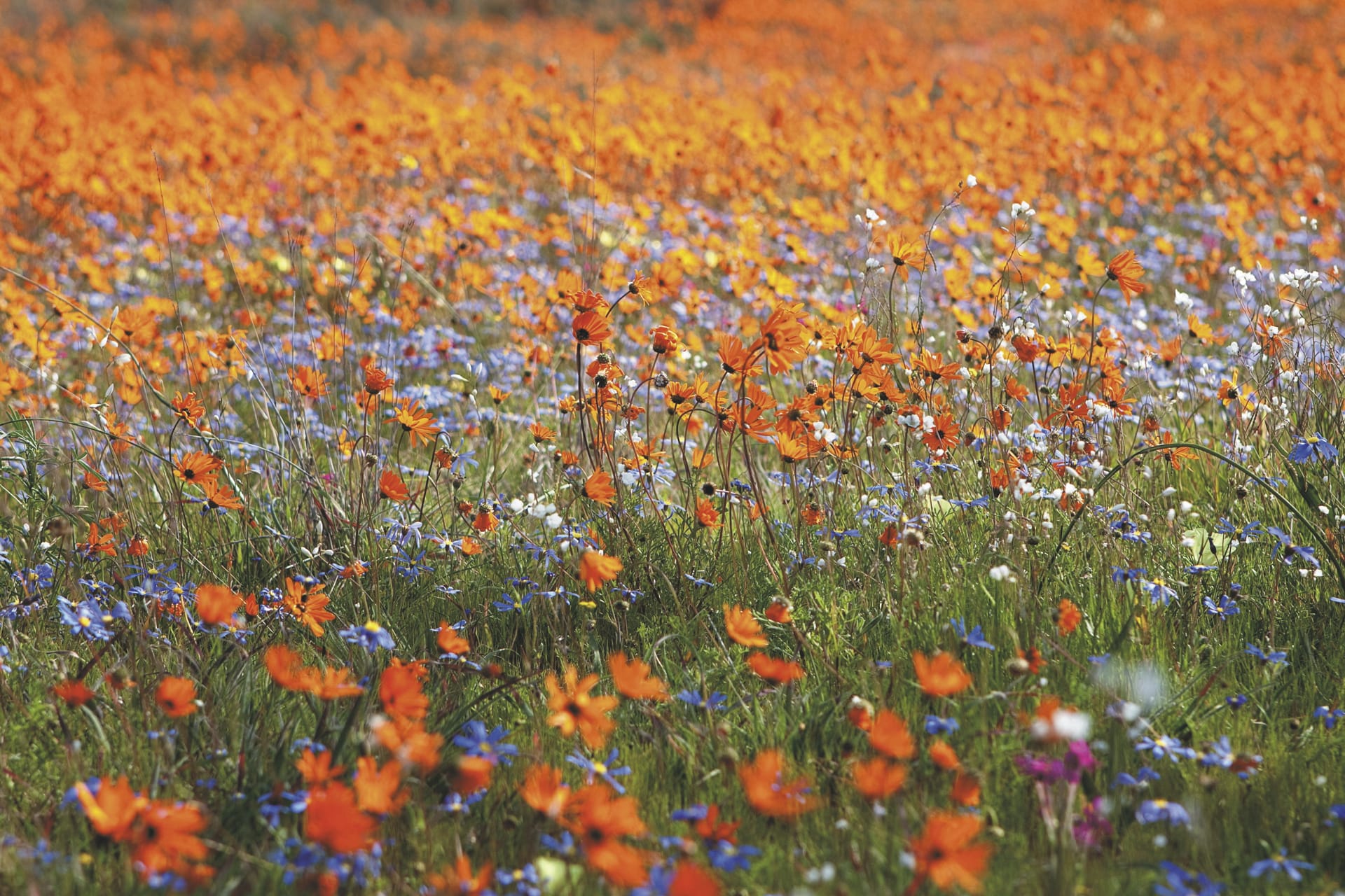 RSA_WEC_20220405_AD_41