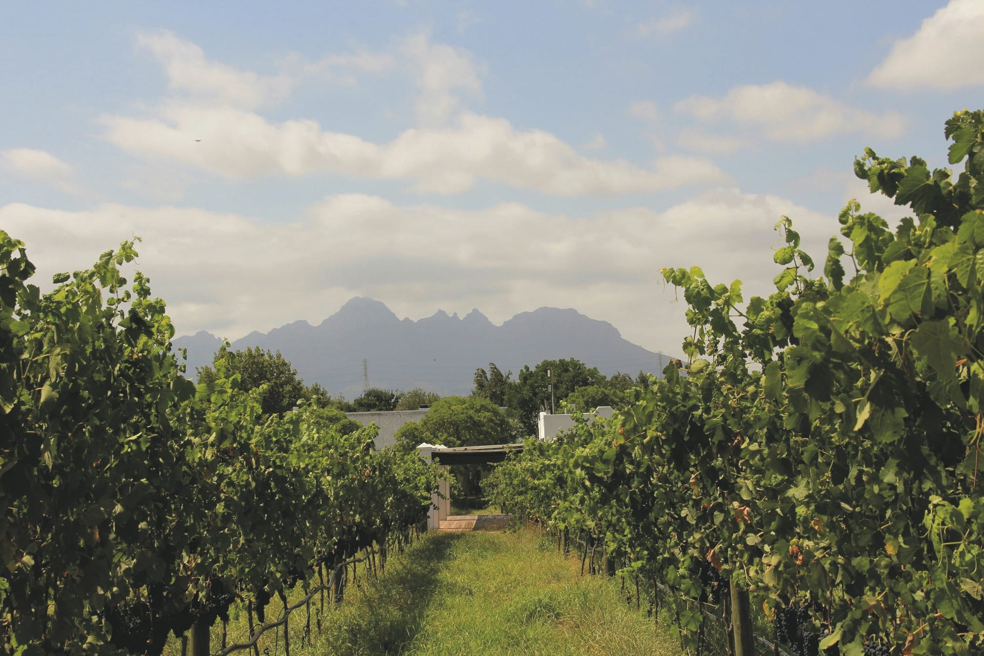 RSA_WEC_20220701_AD_9