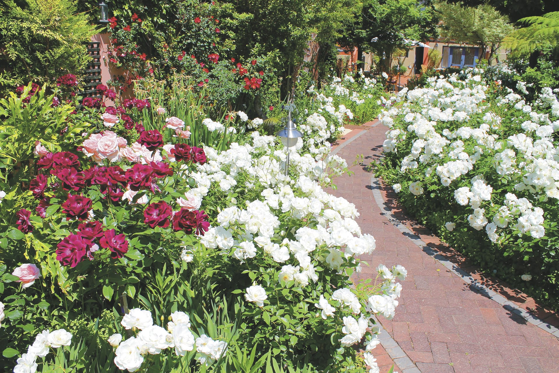 RSA_WEC_20230706_AD_9