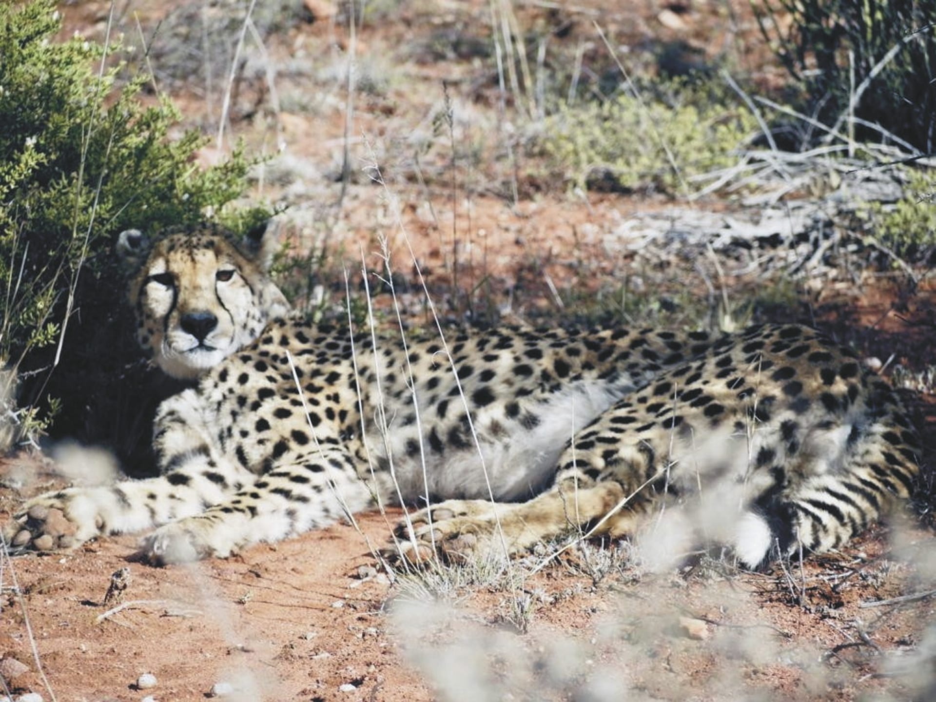 RSA_WEC_20230718_AD_22