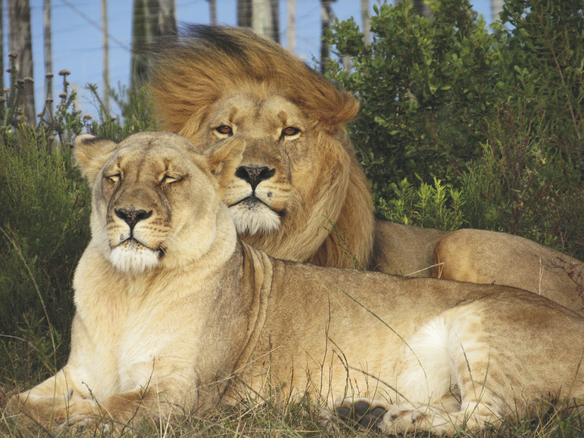 RSA_WEC_20250523_AD_22