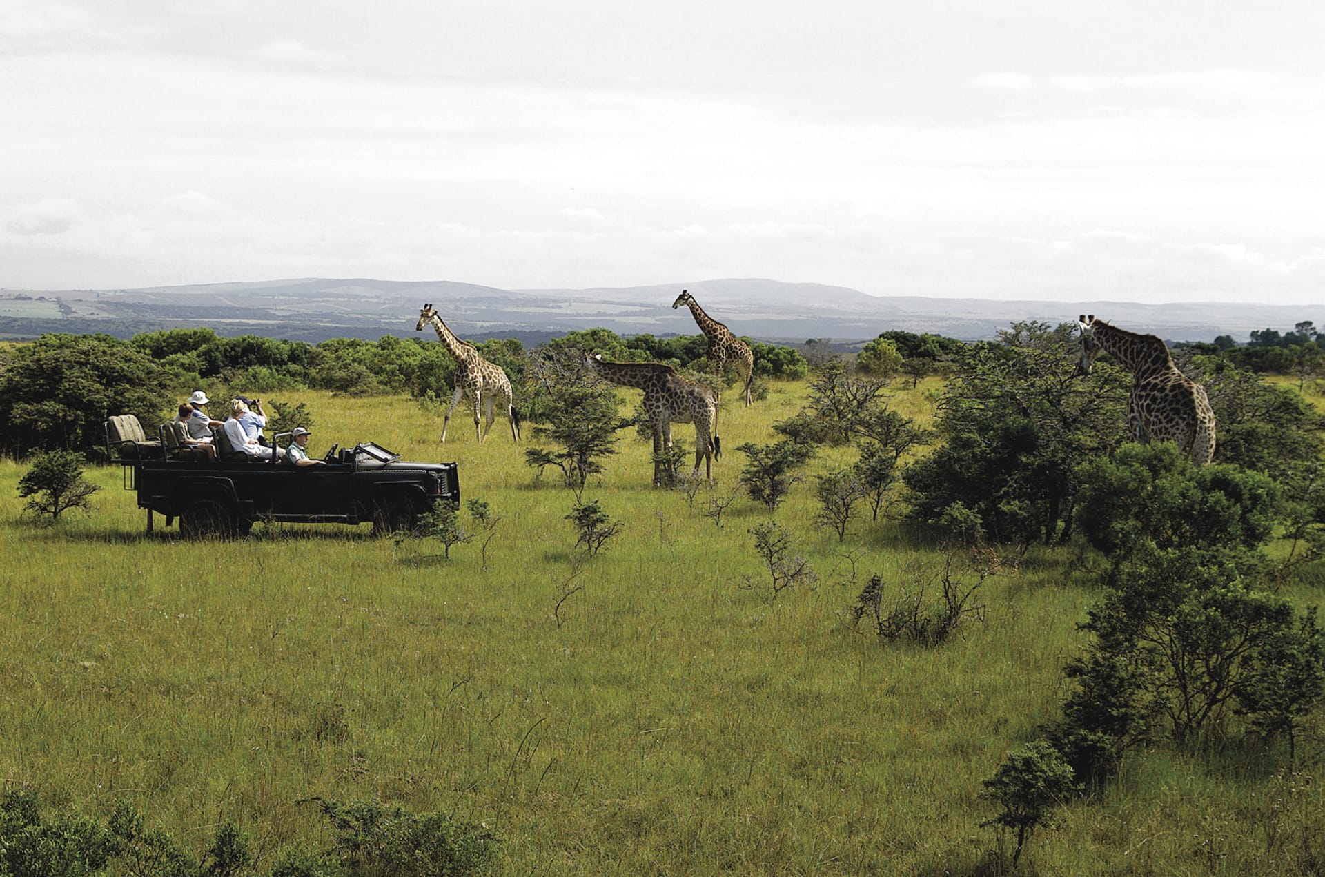 RSA_WEC_221_20100804_SS