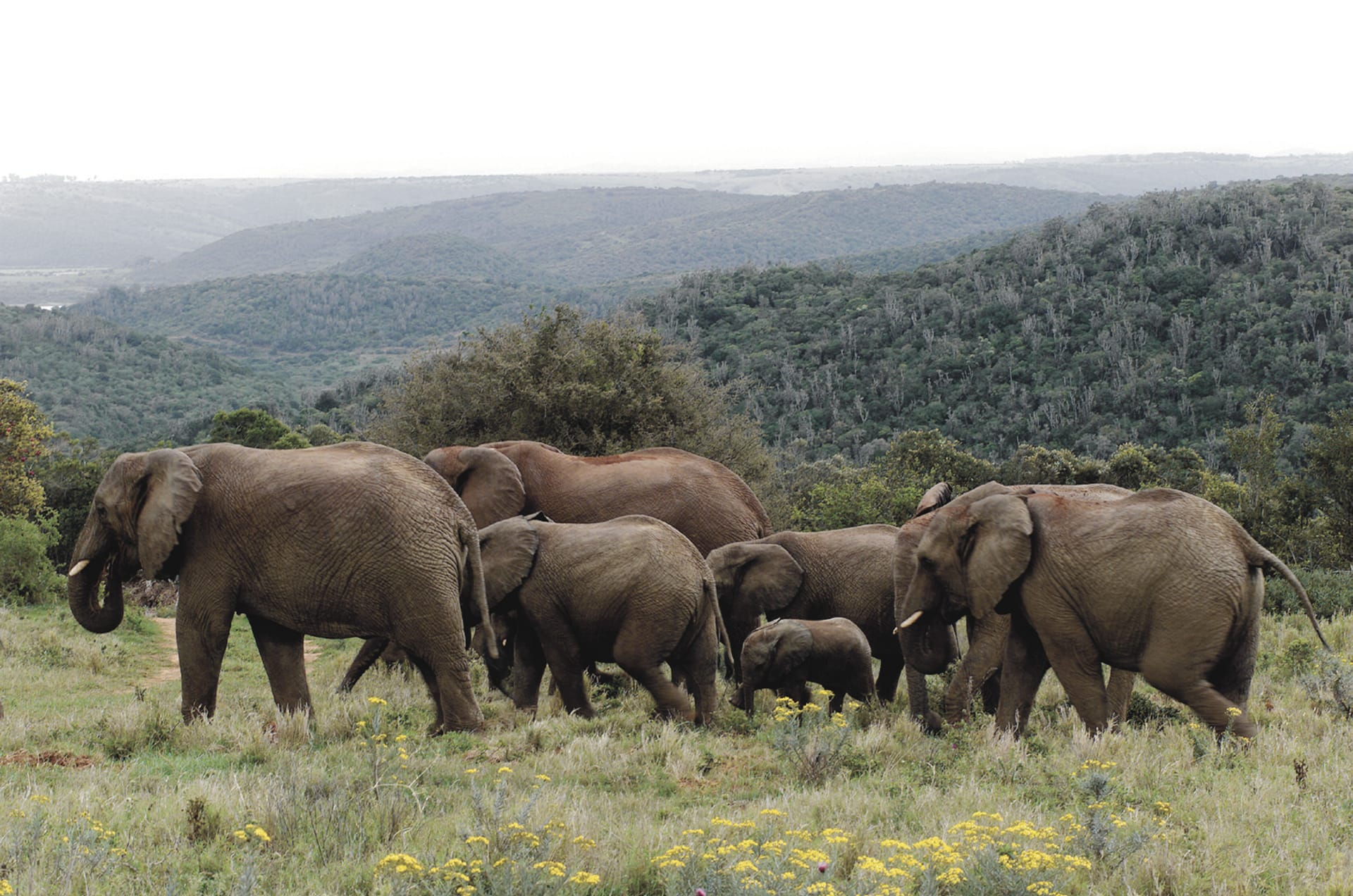 RSA_WEC_227_20100804_SS