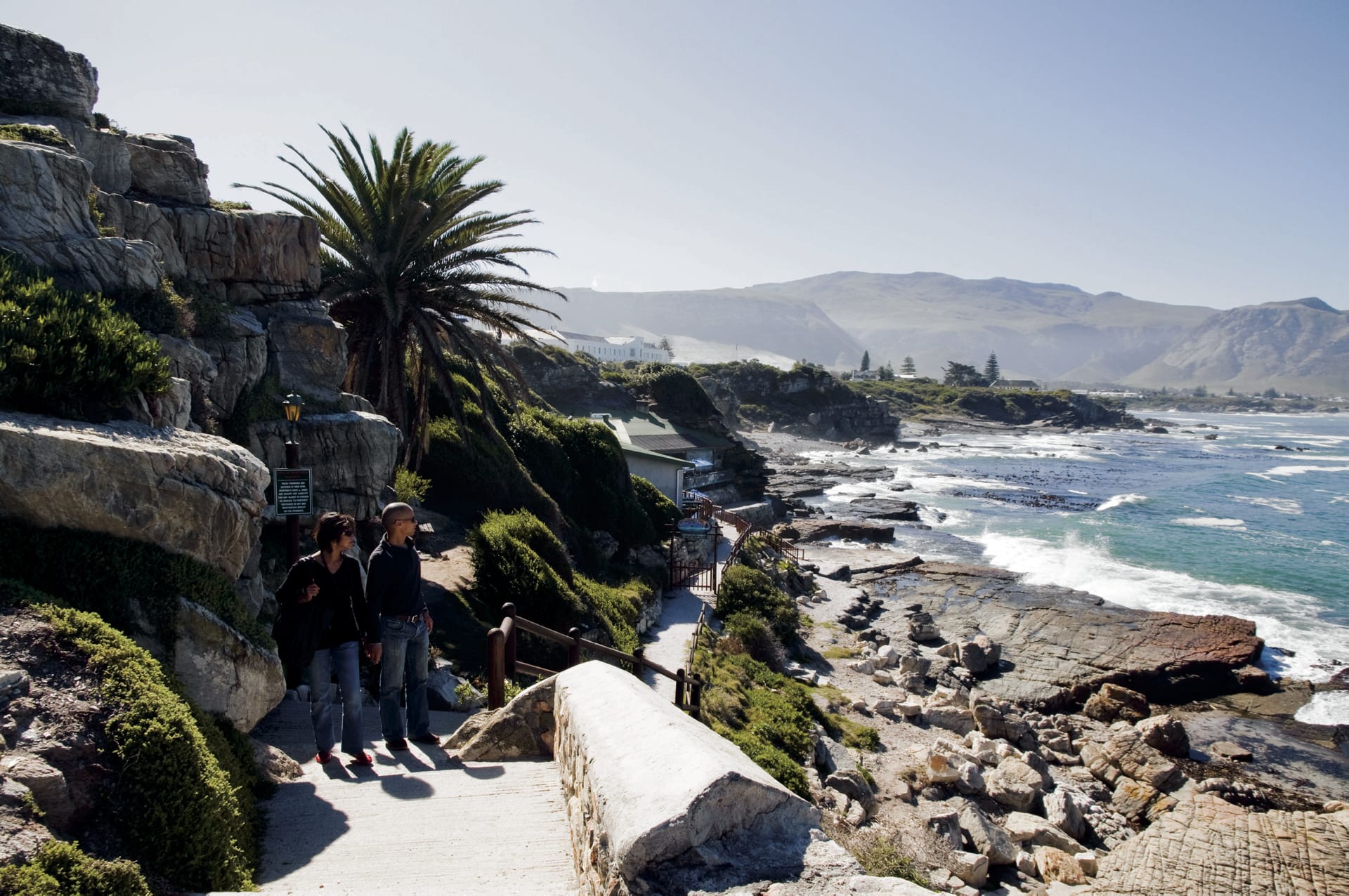 RSA_WEC_584_20110722_AD