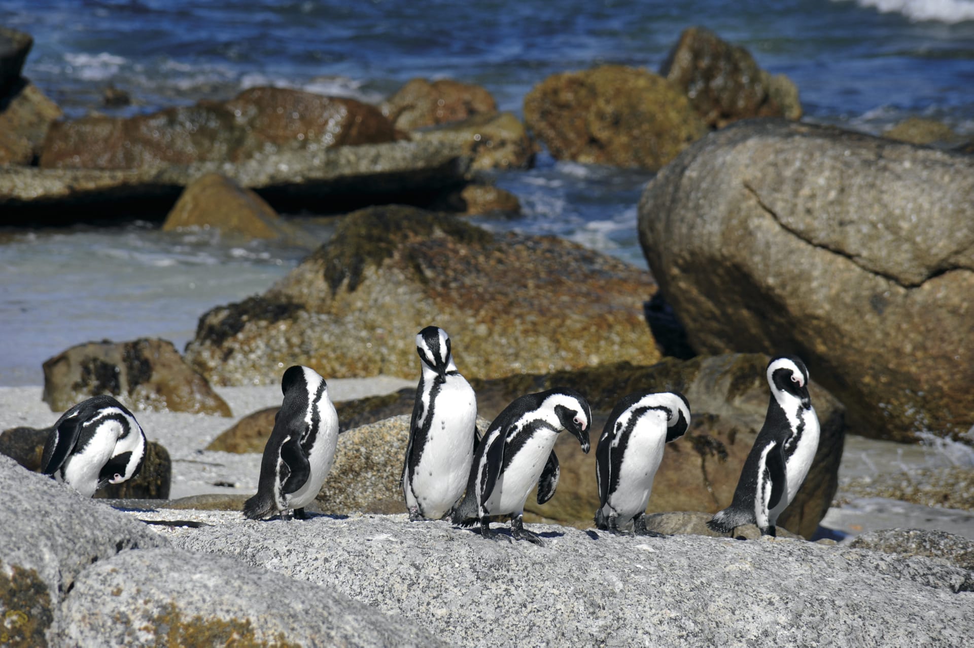 RSA_WEC_832_20120605_AD