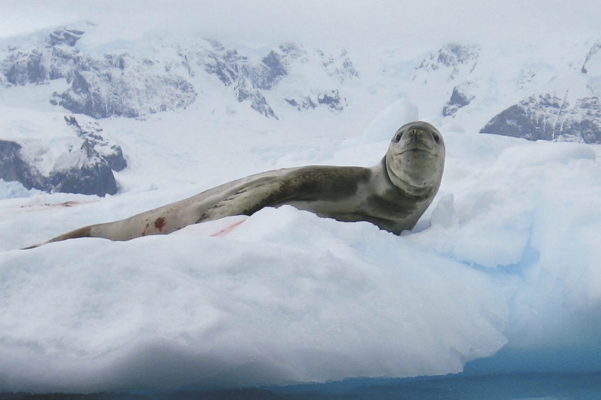 SAM_ANT_20181020_MB_14