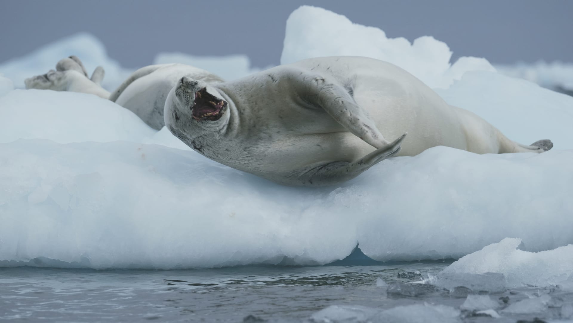 SAM_ANT_20181020_MB_29