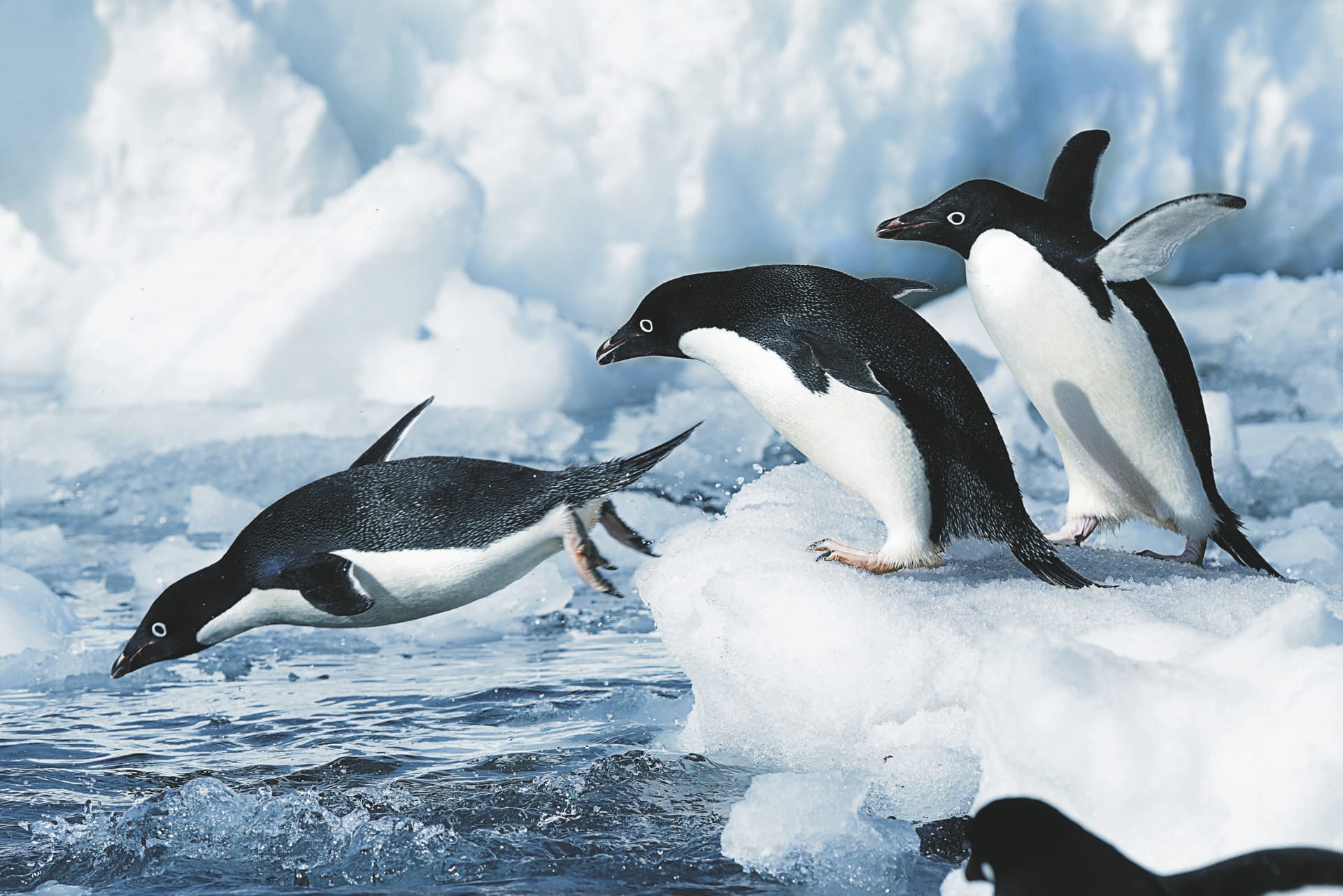 SAM_ANT_20190822_MB_12