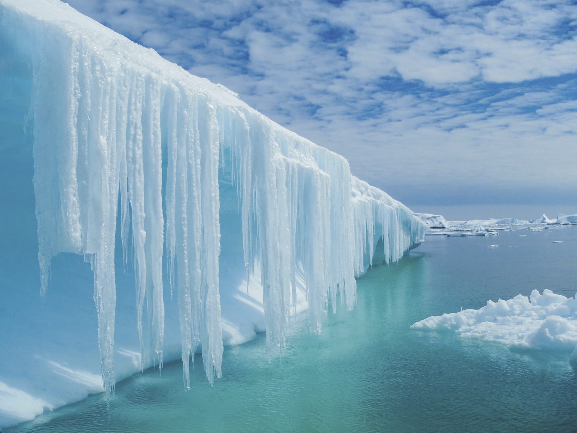 SAM_ANT_20220916_MB_12