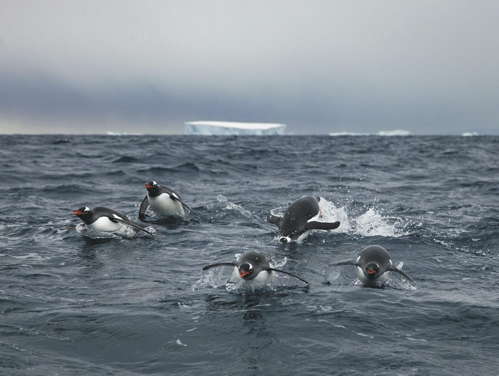 SAM_ANT_20220916_MB_15