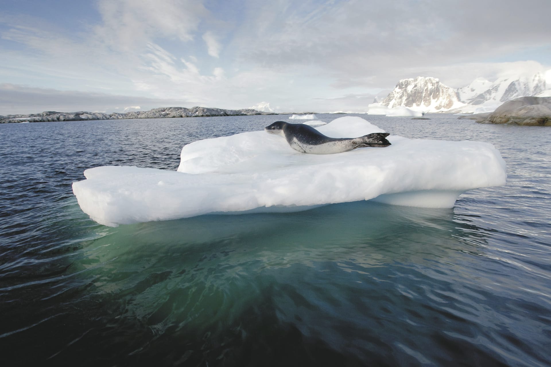 SAM_ANT_20230707_MB_33